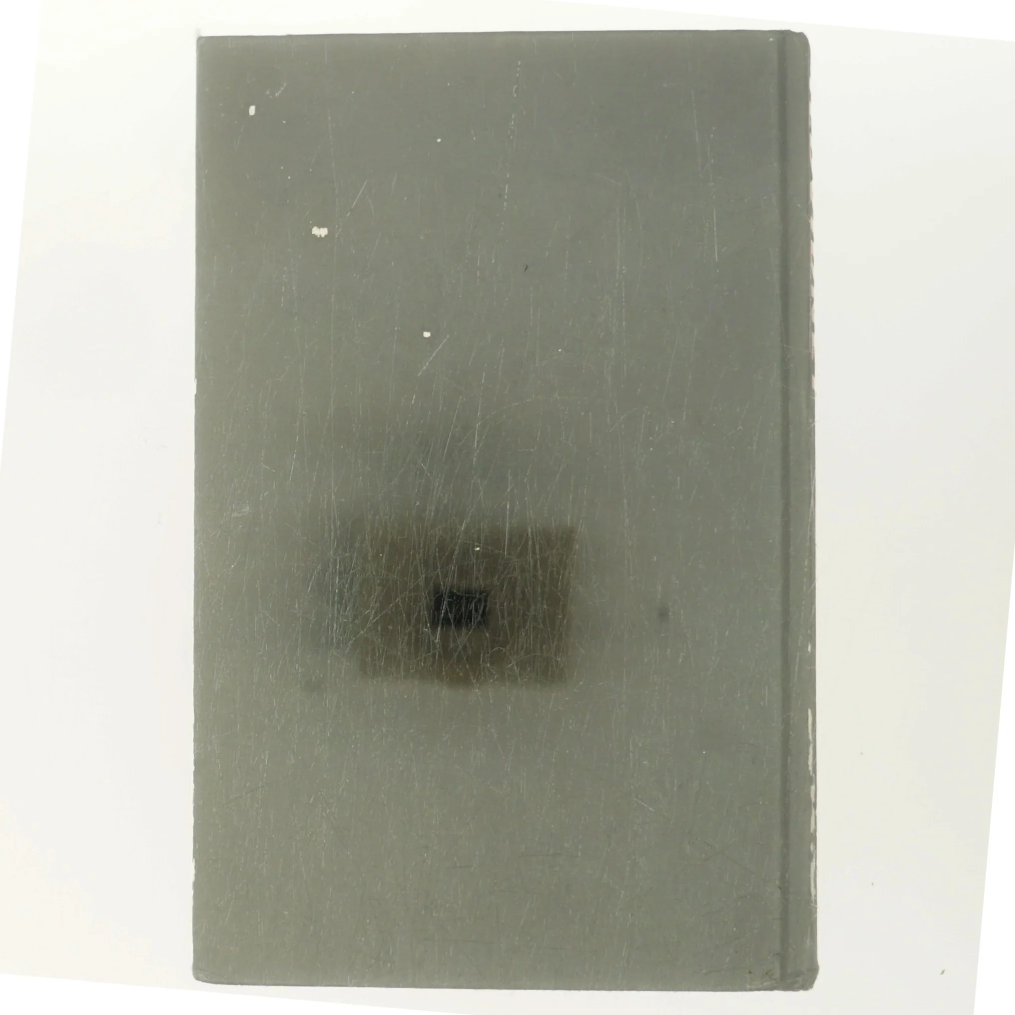 Ildvidnet af Lars Kepler (Bog)