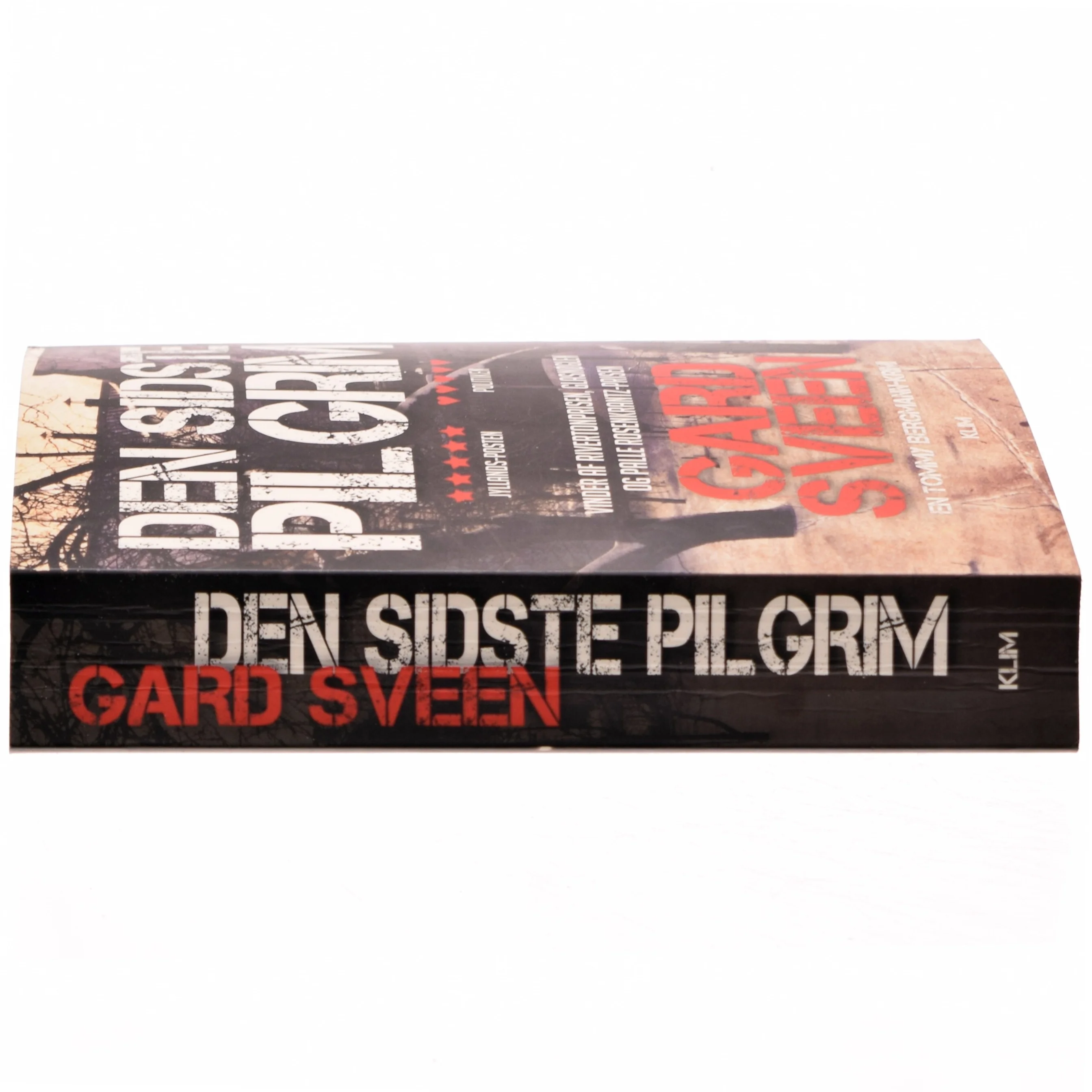Den sidste pilgrim af Gard Sveen (Bog)