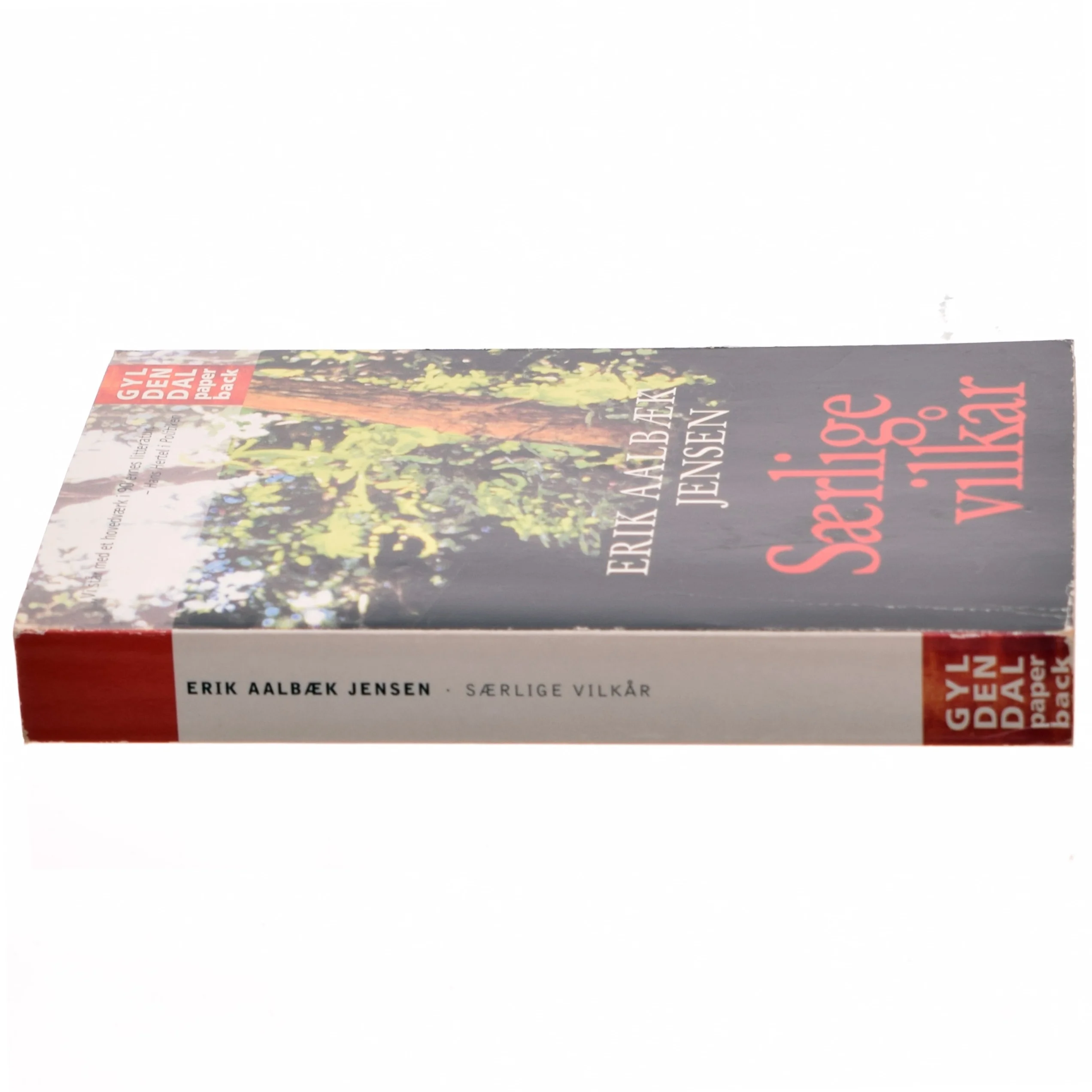 Særlige vilkår : roman af Erik Aalbæk Jensen (Bog)
