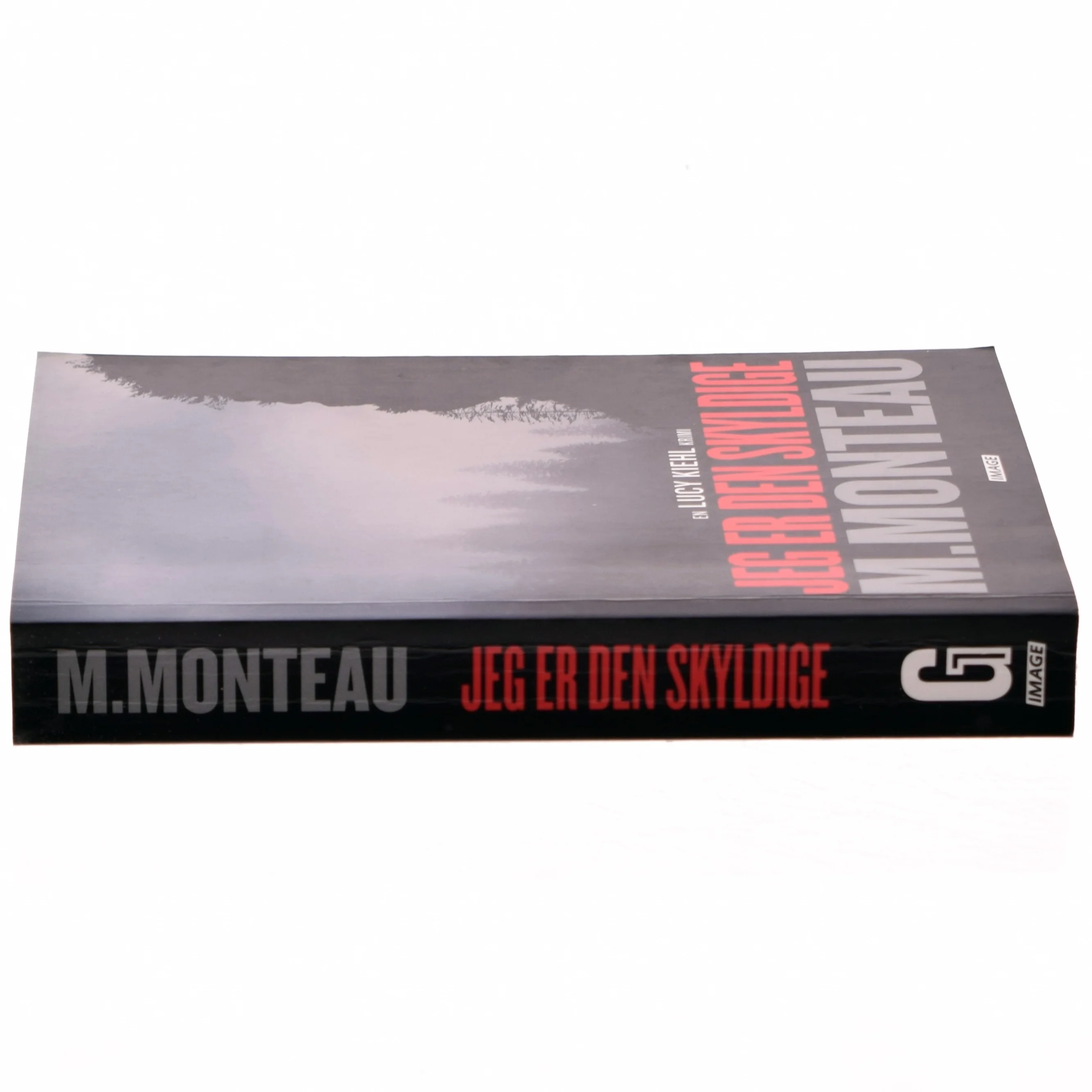 Jeg er den skyldige : krimi af Marianne Monteau (f. 1965) (Bog)