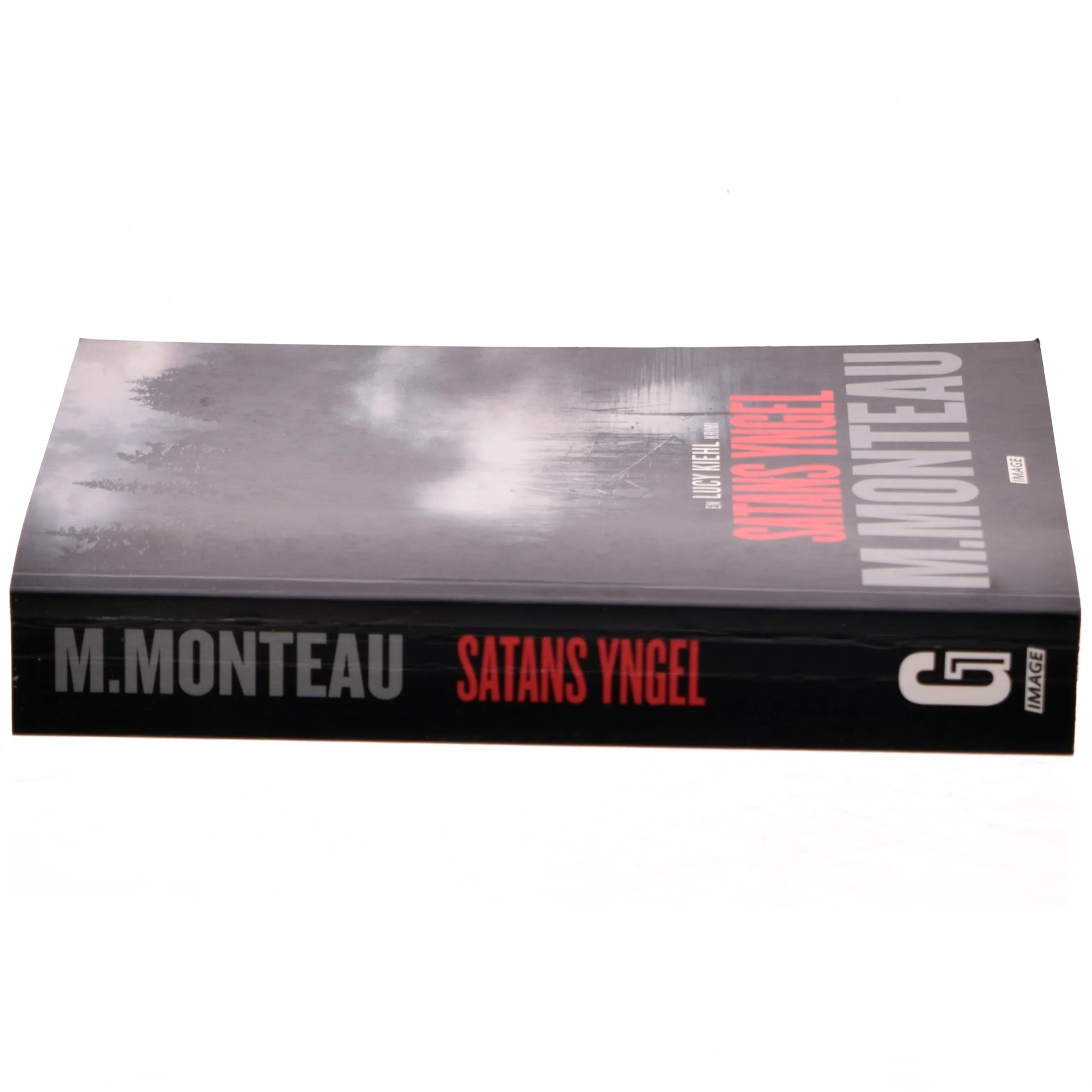 Satans yngel : krimi af Marianne Monteau (f. 1965) (Bog)