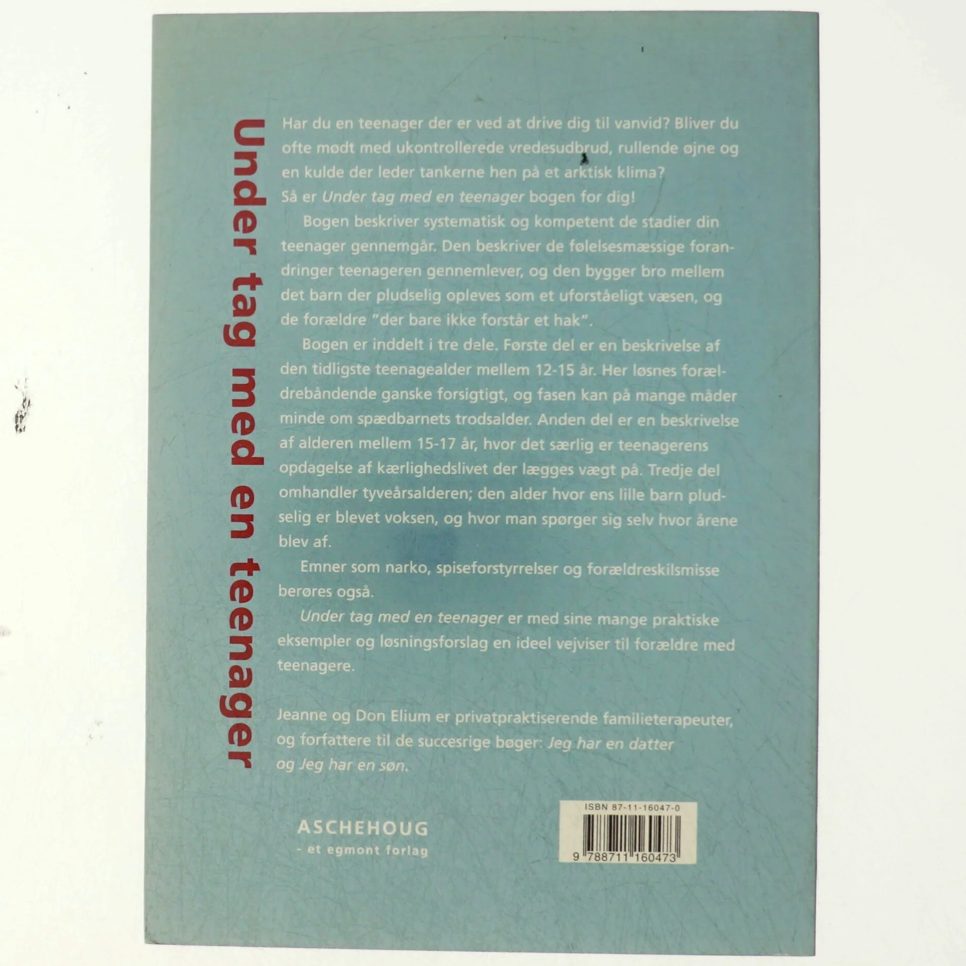 Under tag med en teenager (Bog)