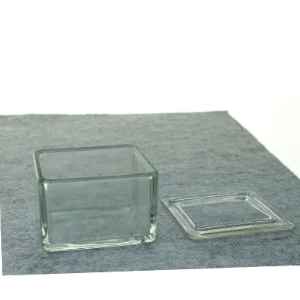 Glasskål med låg (str. 11 x 9 x 7 cm)