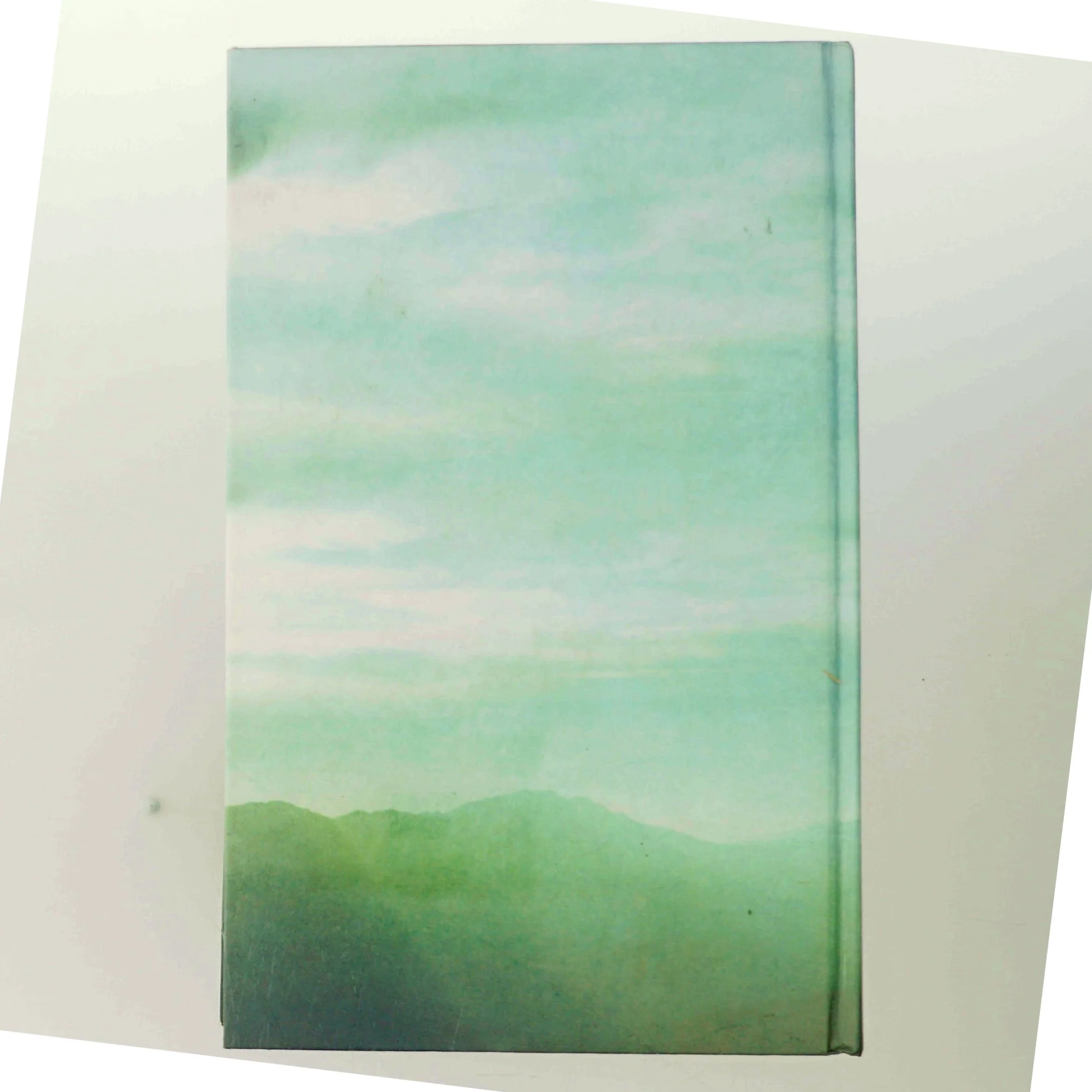 Morgans Run af Colleen McCullough (Bog)