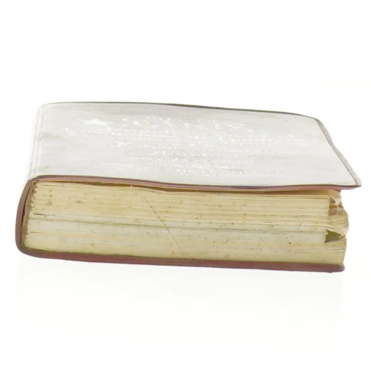 Læderindbundet bog om Paris (str. 15x10 cm)