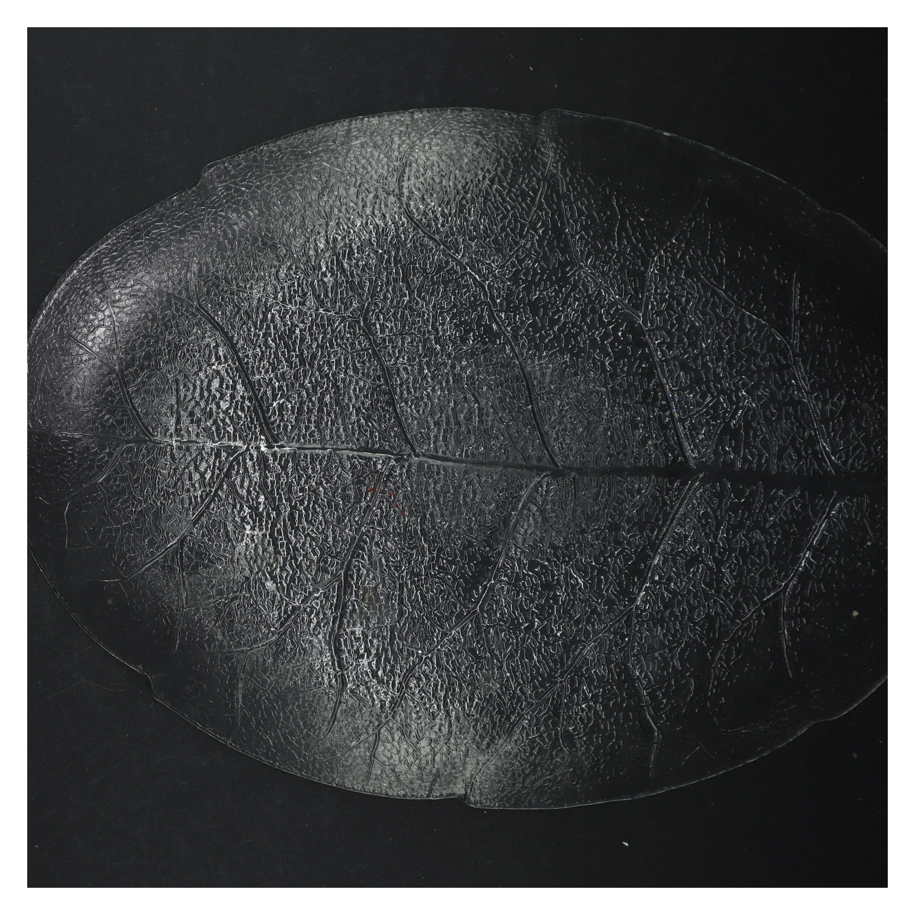 Dekorativt bladformet fad (str. 36x26 cm)