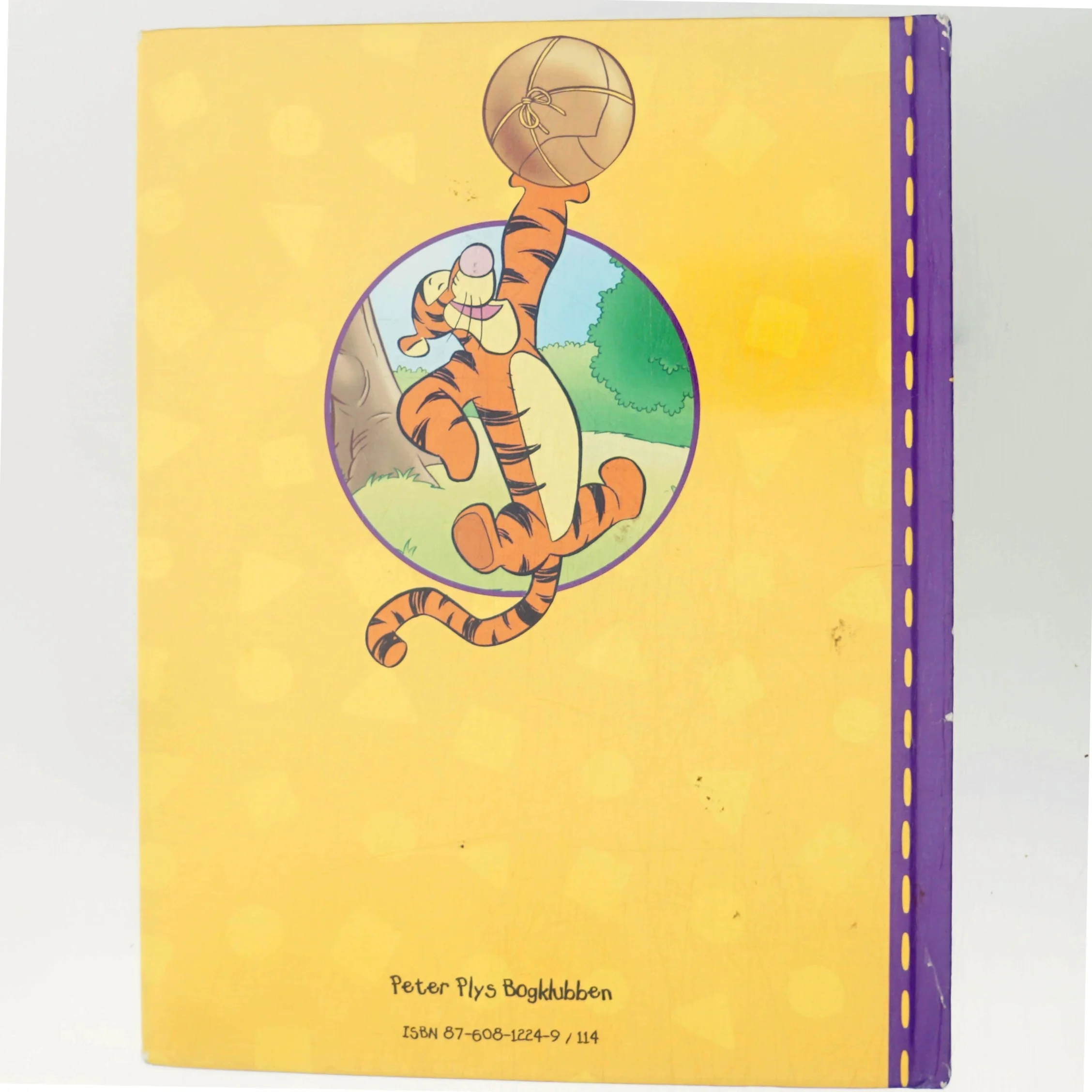 En herlig Æseldag (Bog)