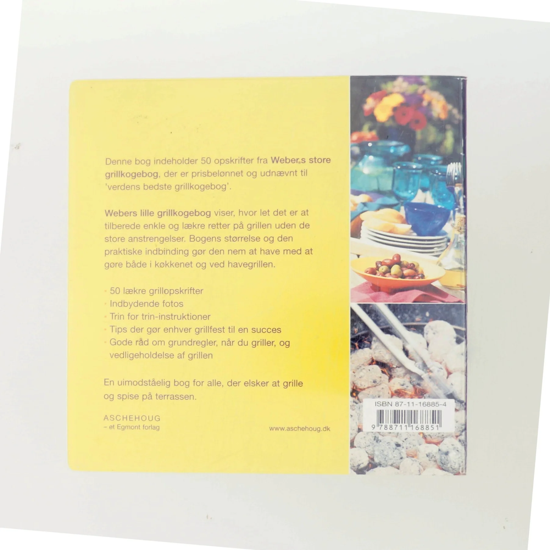 Webers lille grillkogebog af Matthew Drennan (Bog)