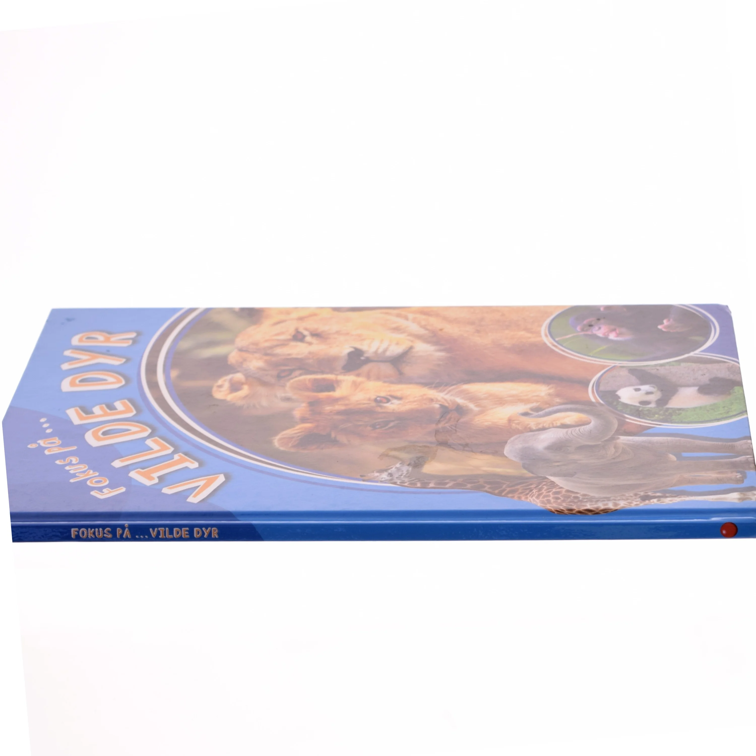 Fokus på - vilde dyr af Julie Rotne (Bog)