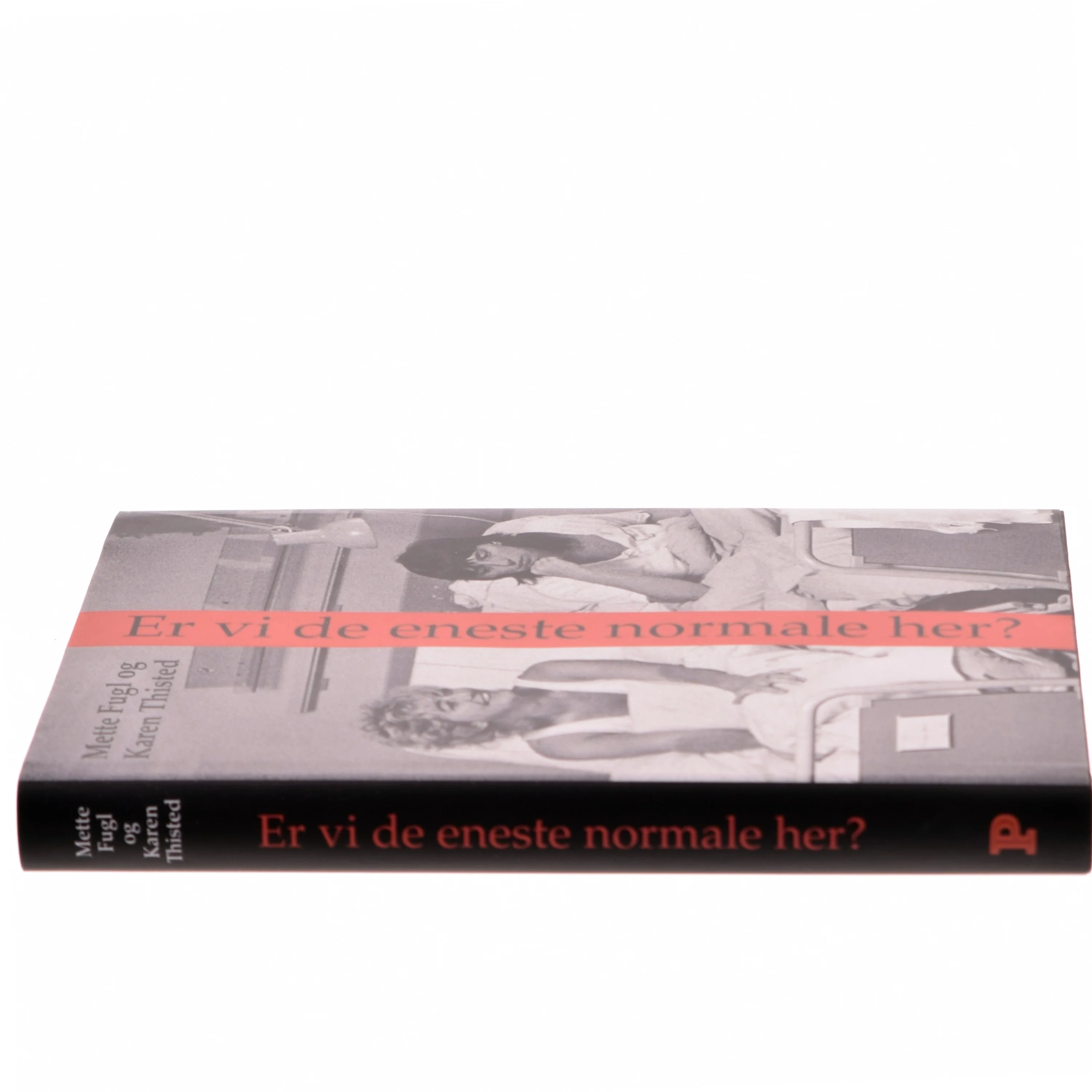 Er vi de eneste normale her? : noter, anekdoter og samtaler om visse erindringer (Bog)