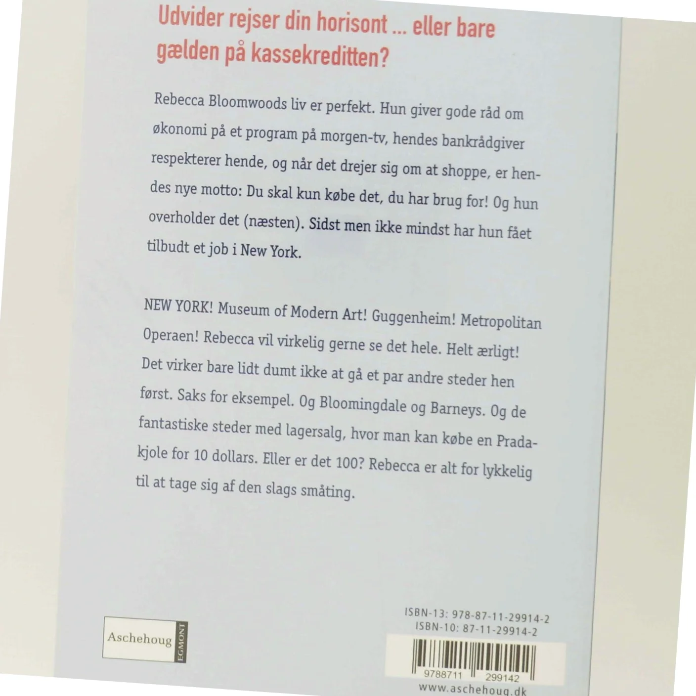 En shopaholic i New York af Sophie Kinsella (Bog)