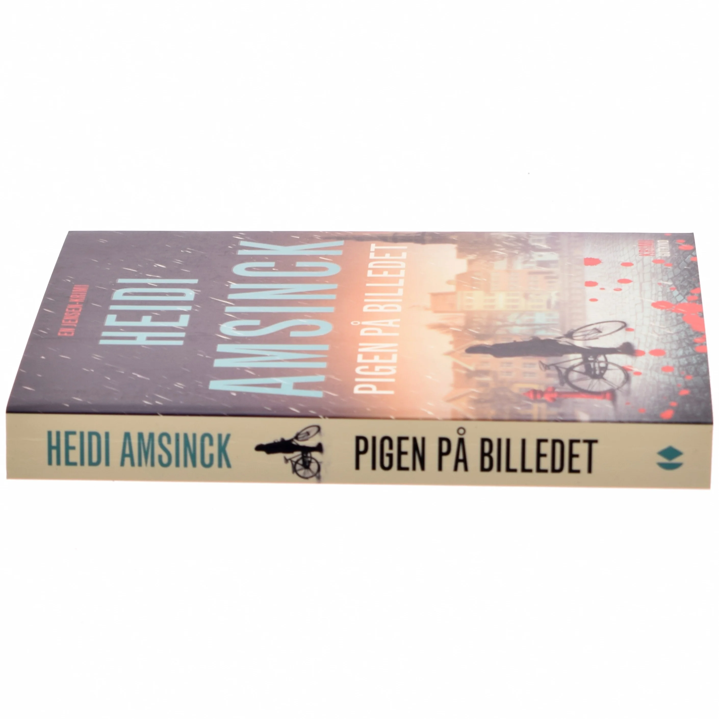 Pigen på billedet af Heidi Amsinck (Bog)