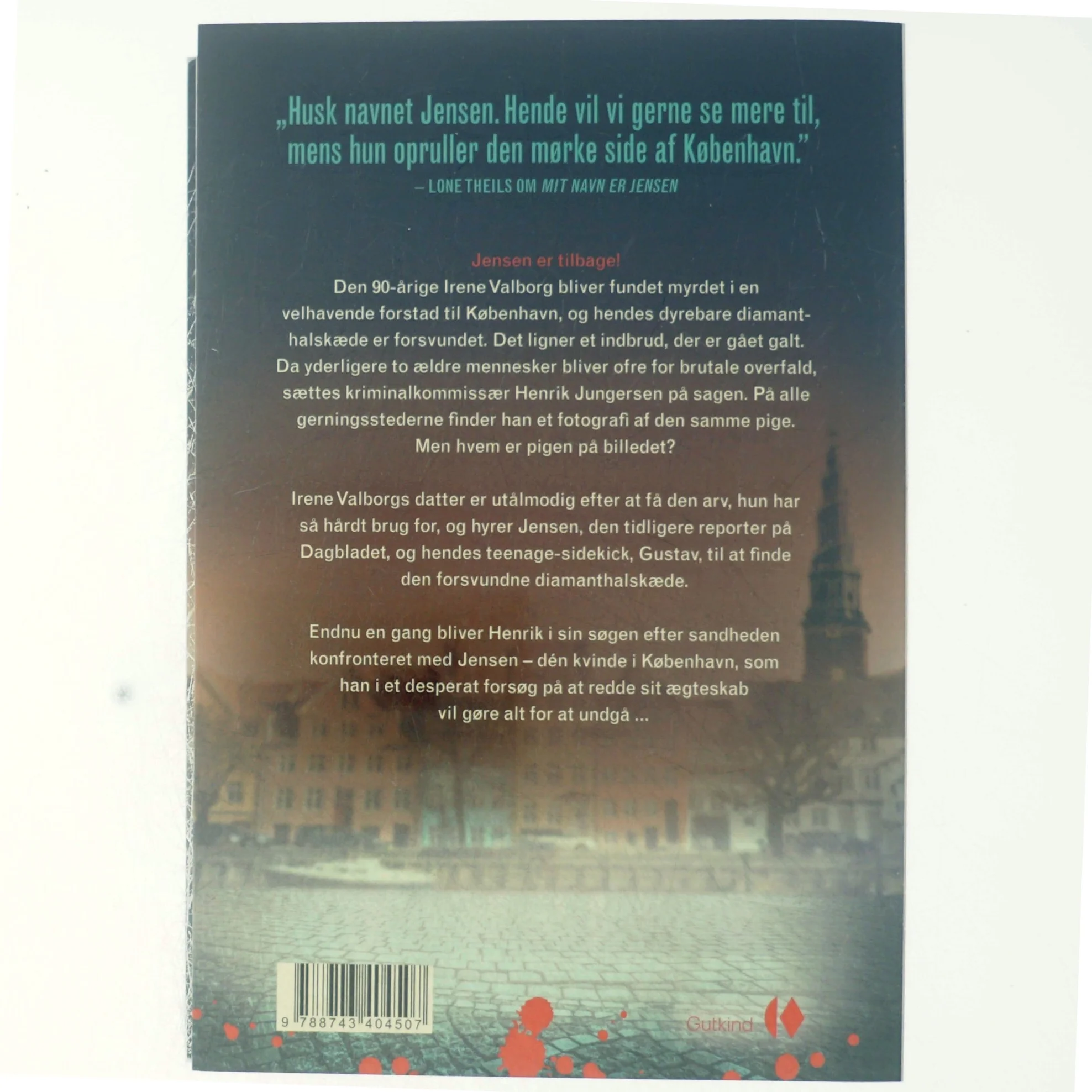 Pigen på billedet af Heidi Amsinck (Bog)