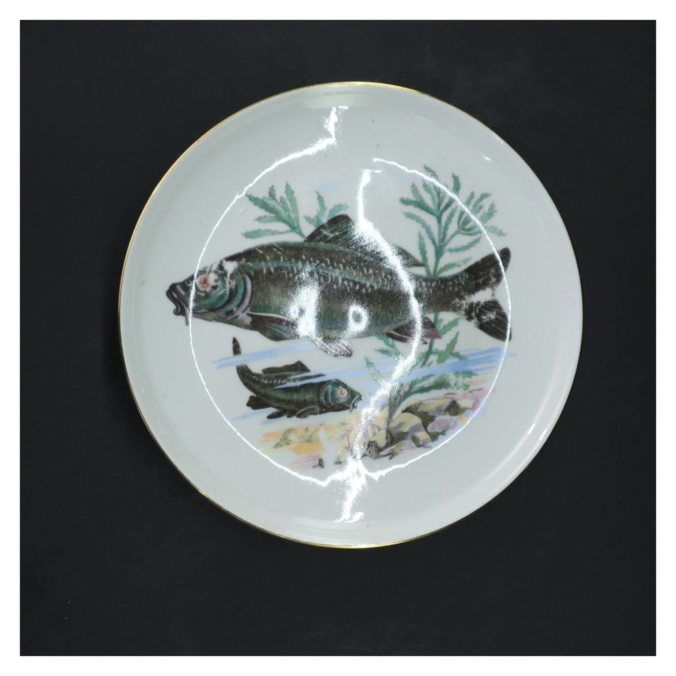 Fiske motiv porcelænstallerkener, sæt af 5 fra Colditz (str. 5 styk, ø 17 cm)