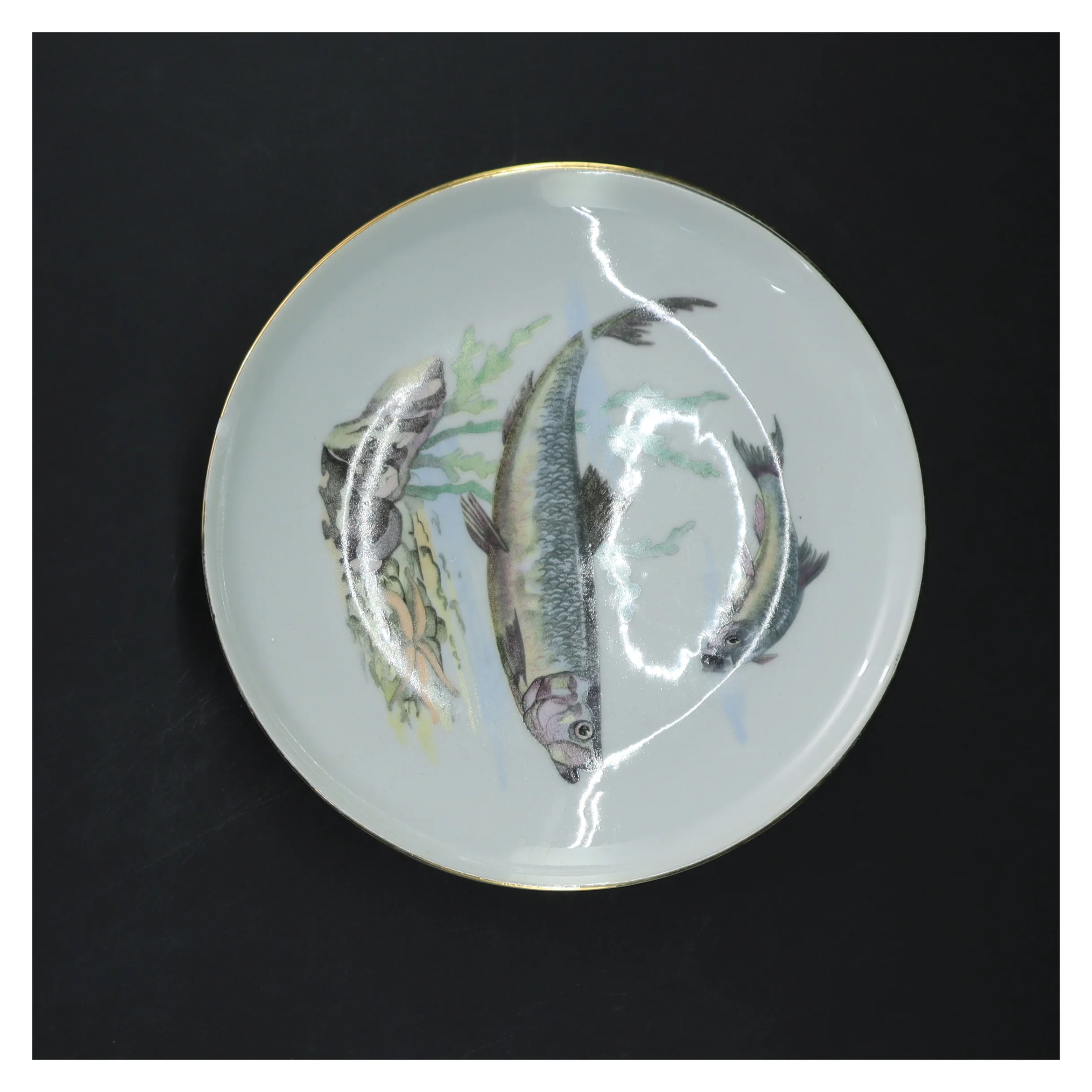 sæt af 5 tallerkener med fiskeprint fra Colditz (str. 5 styk, ø 17 cm)