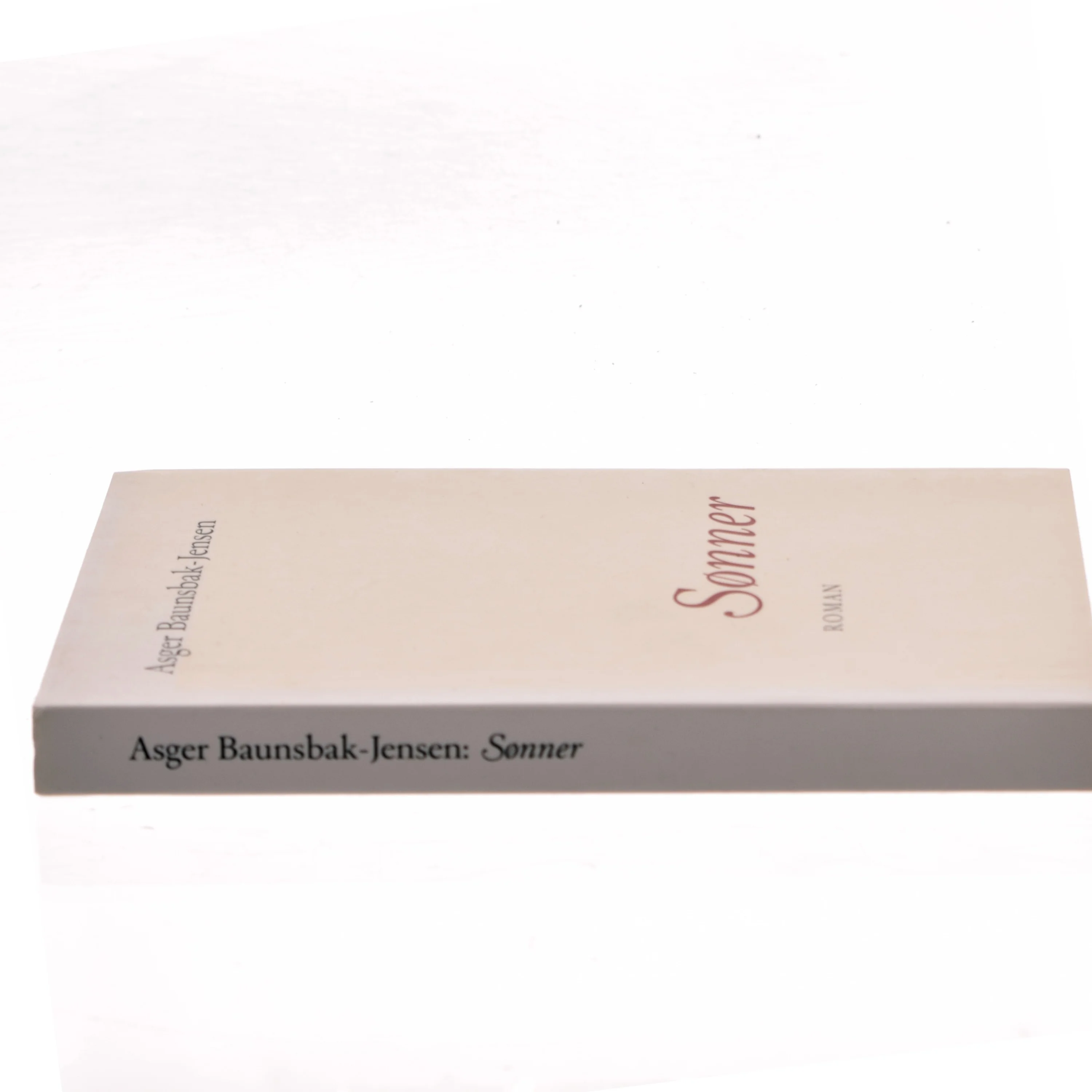 Sønner : roman af Asger Baunsbak-Jensen (Bog)