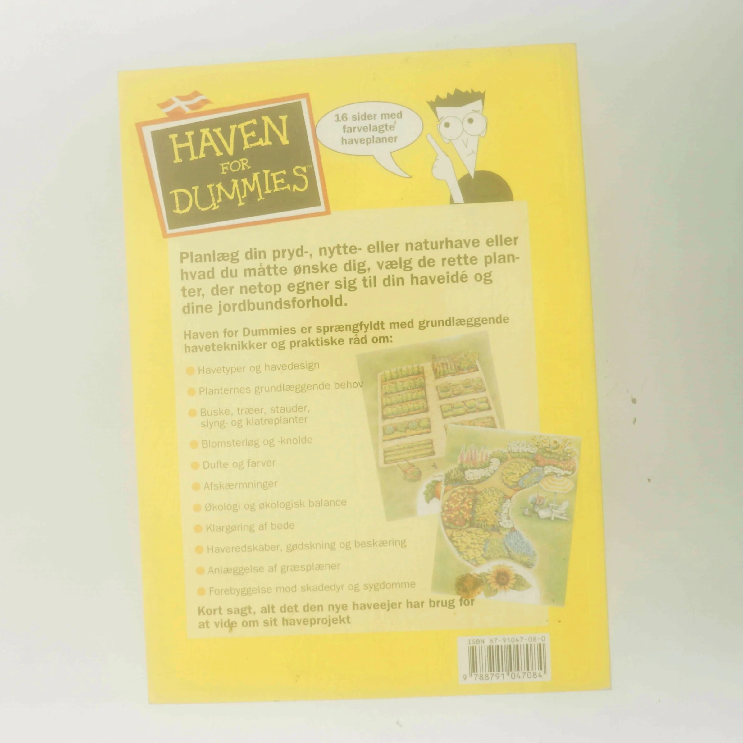 Haven for dummies af Michael McCaskey (Bog)