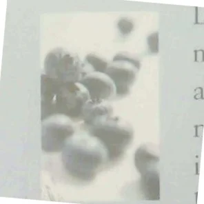 Sundt, nemt & lækkert : opskrifter og tips til mad i en travl hverdag af Inge Vinding (Bog)