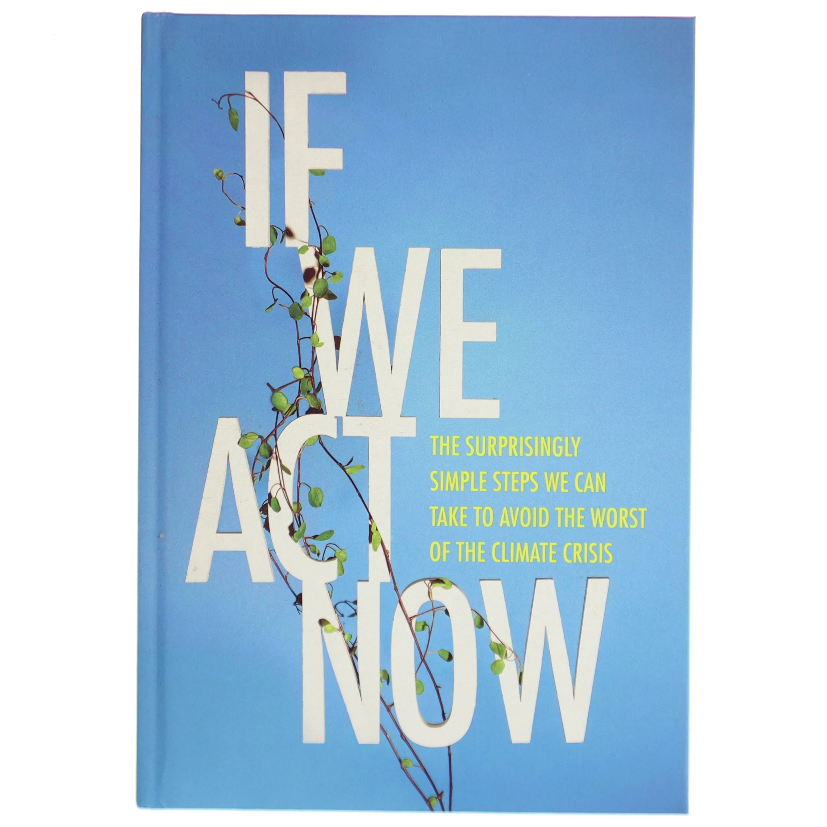 If we act now : the surprisingly simple steps we can take to avoid the worst of the climate crisis af Thomas Hebsgaard (f. 1982-10-02) (Bog)