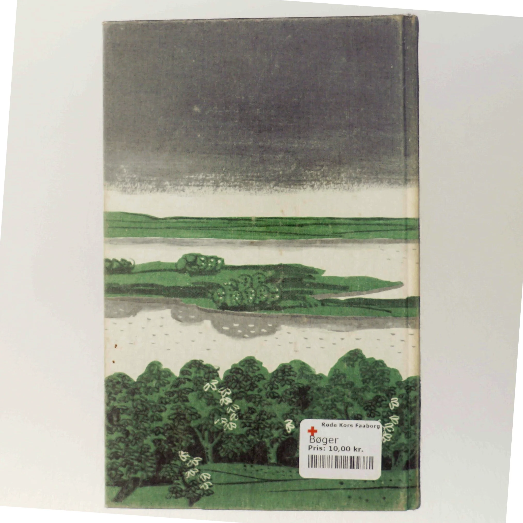 Heimat im Osten af Hermann Sudermann