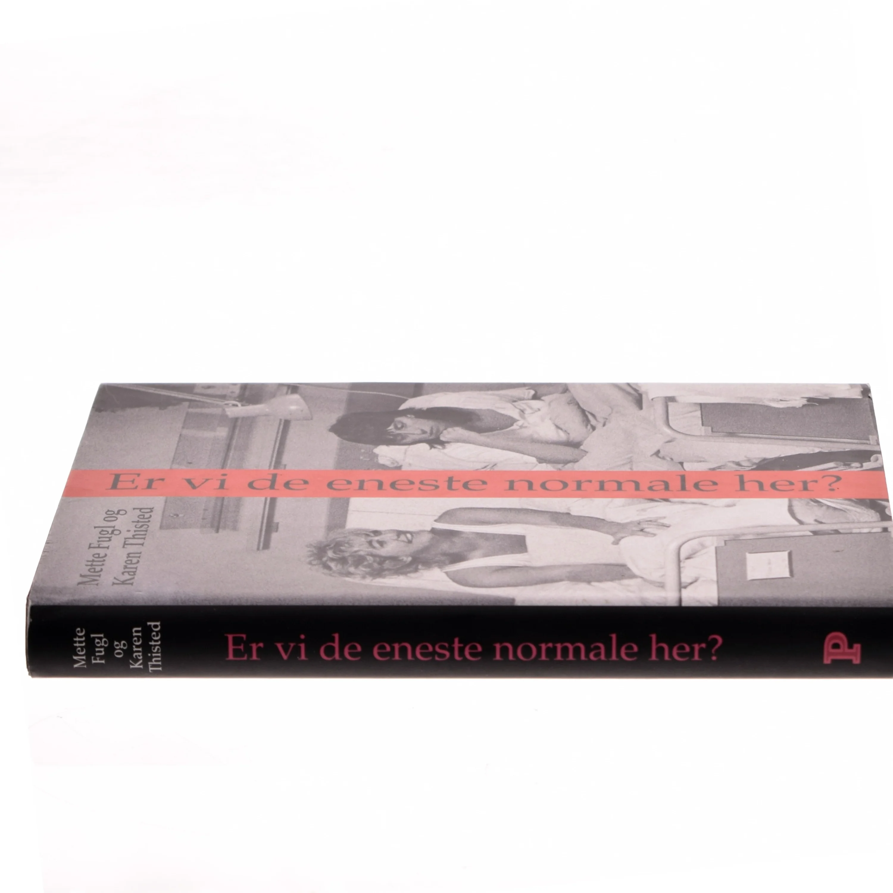 Er vi de eneste normale her? : noter, anekdoter og samtaler om visse erindringer (Bog)