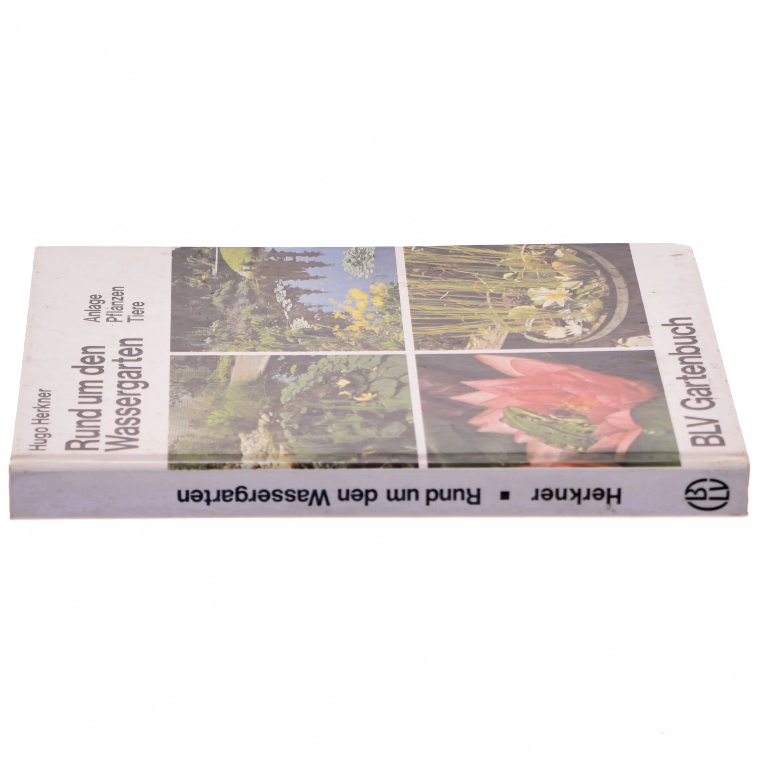 Rund um den Wassergarten bog fra BLV Verlag