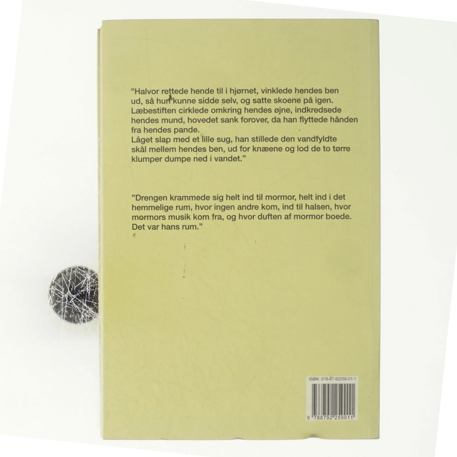 Jerichos roser : en noget fiktiv erindringsroman af Ole Petersen (f. 1958) (Bog)