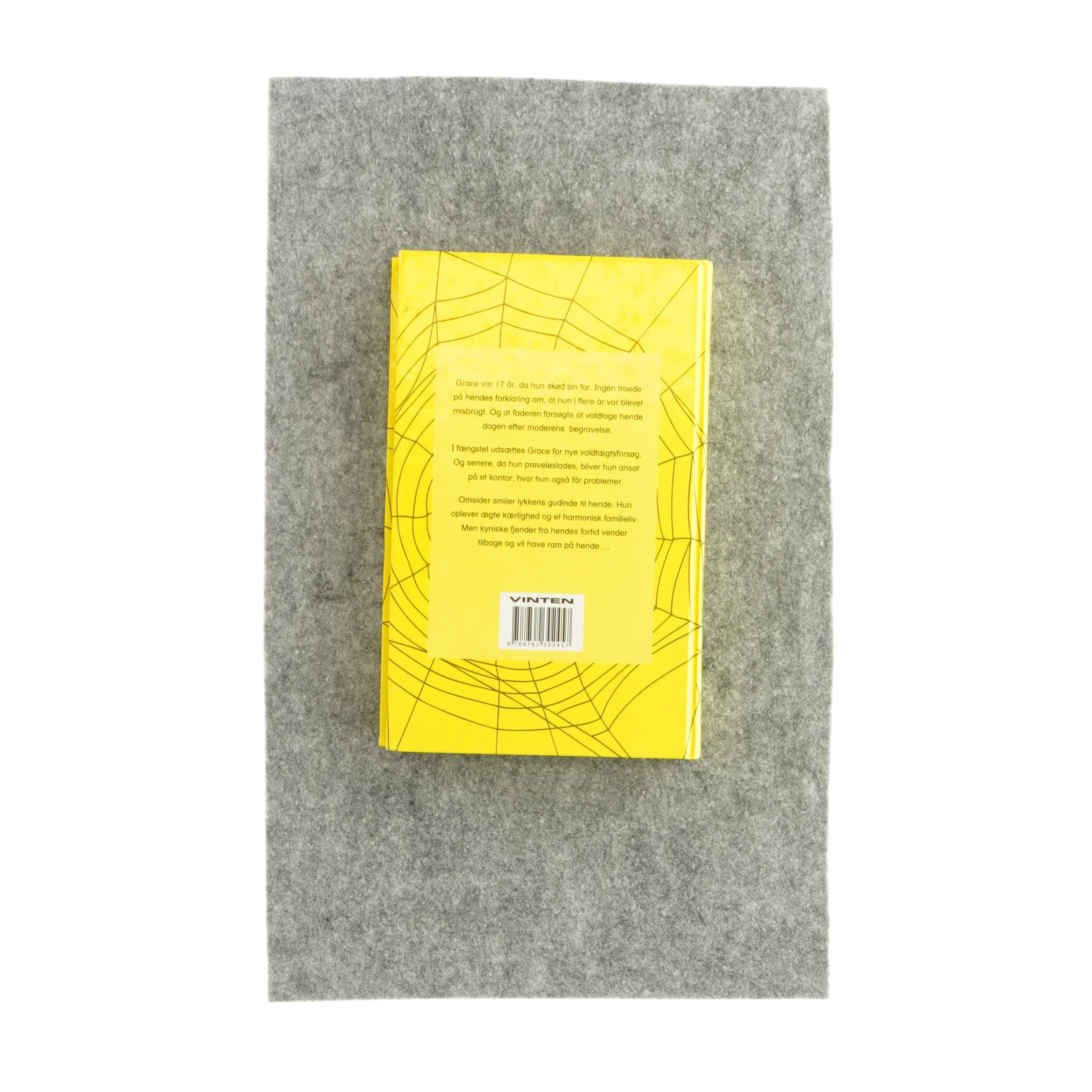 Udnyttet af Danielle Steel (bog)