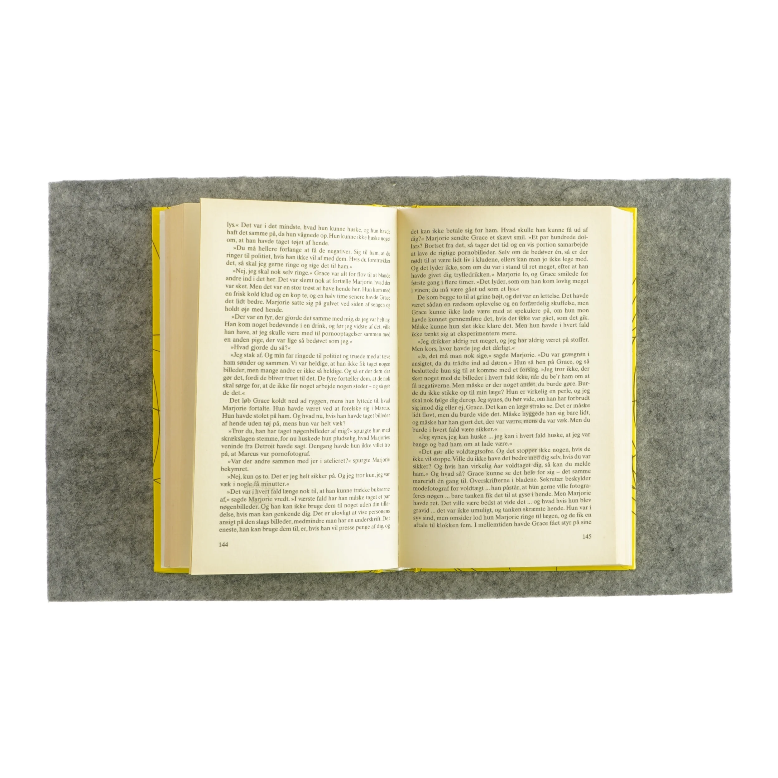 Udnyttet af Danielle Steel (bog)