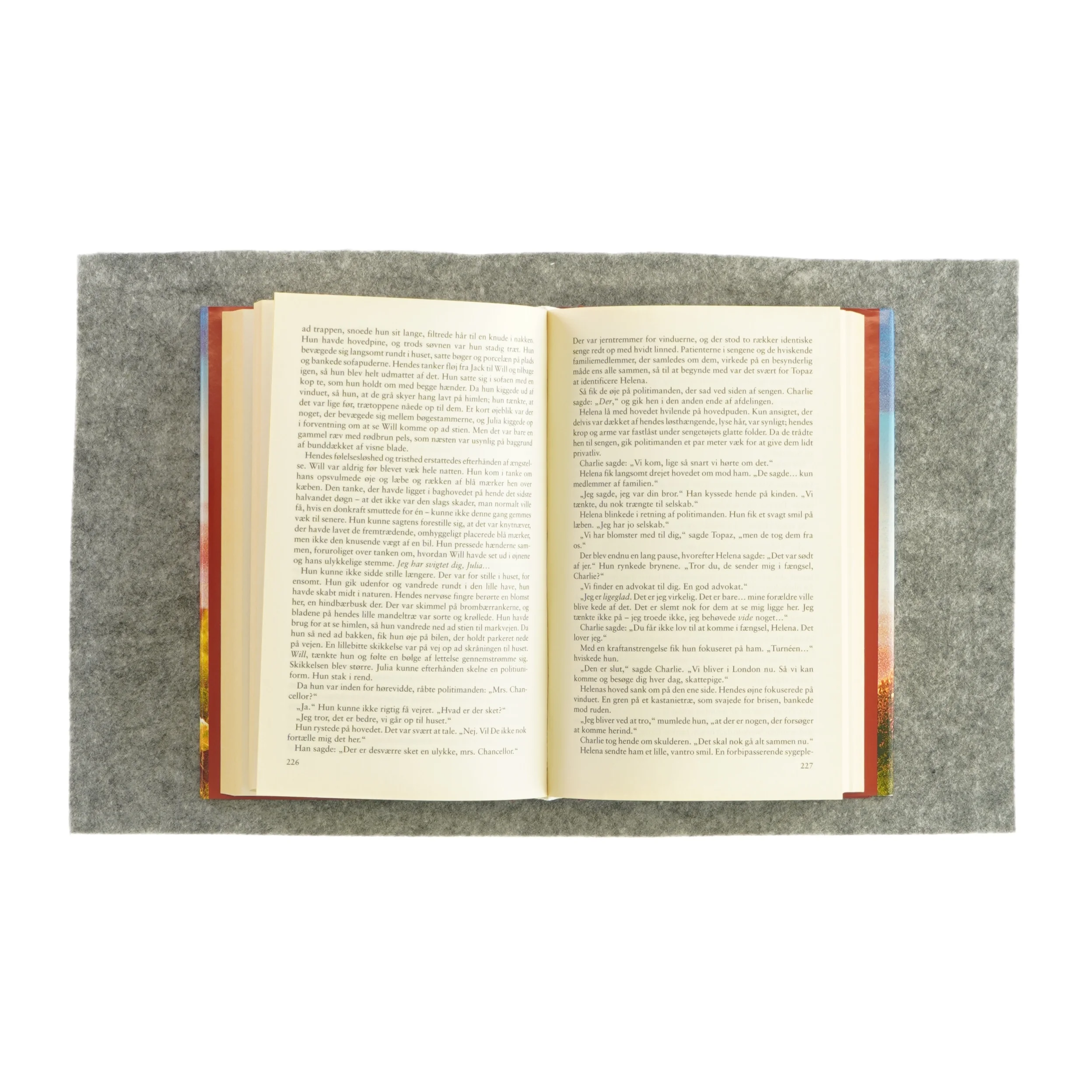 Navnet på ruden af Judith Lennox (bog)