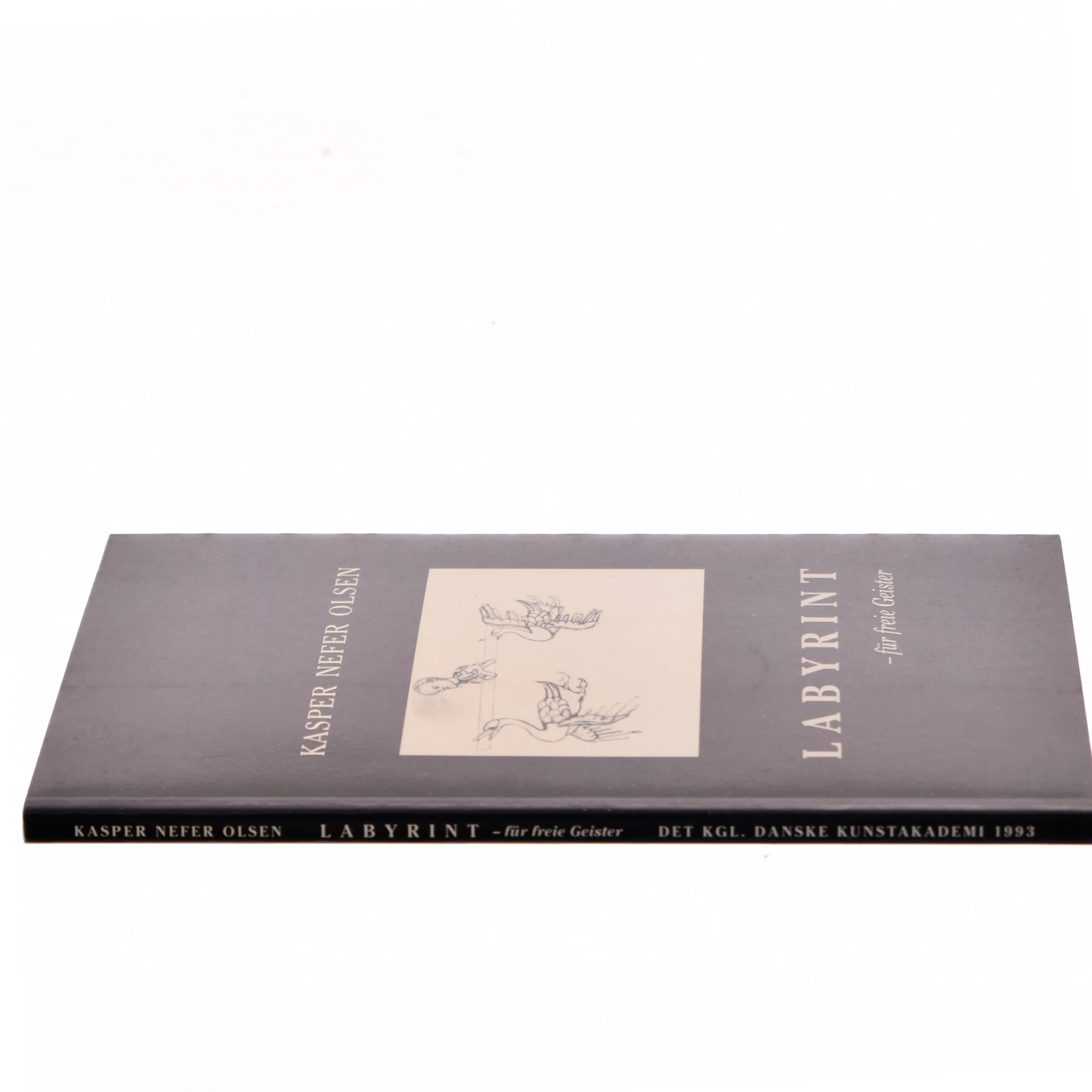 Labyrint af Kasper Nefer Olsen (Bog)
