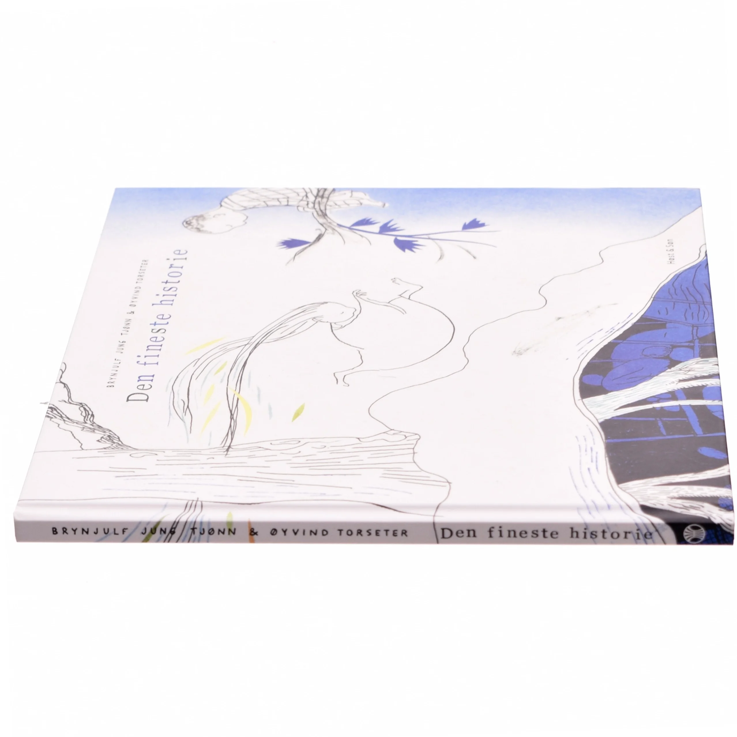 Den fineste historie af Brynjulf Jung Tjønn (Bog)