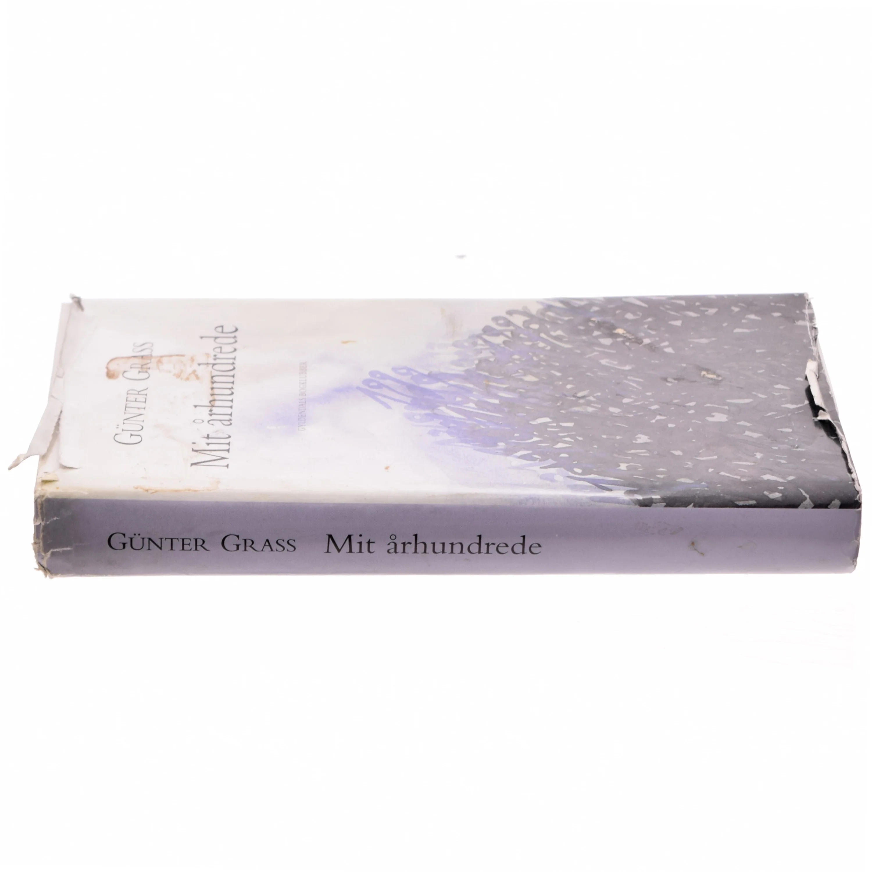 Mit århundrede af Günter Grass (Bog)