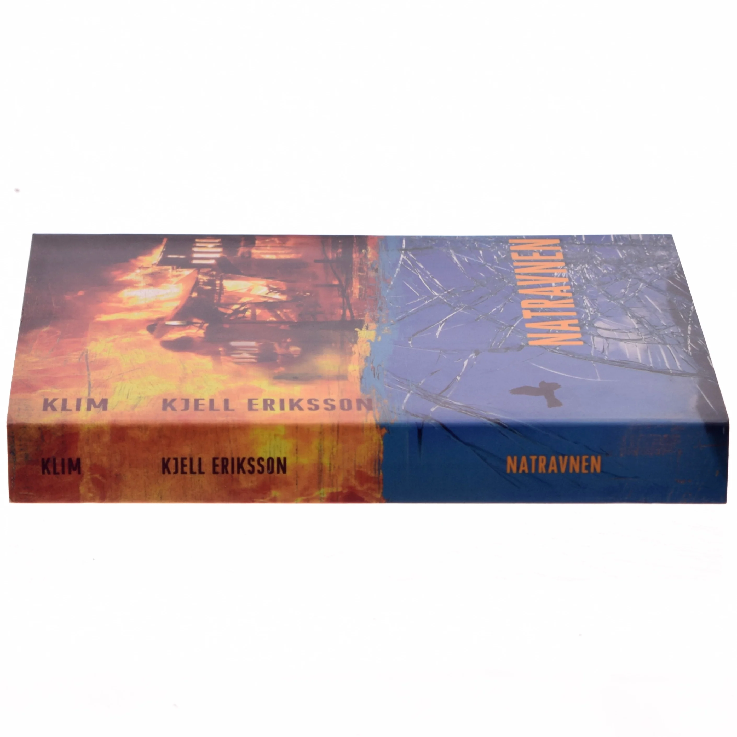 Natravnen : kriminalroman af Kjell Eriksson (Bog)
