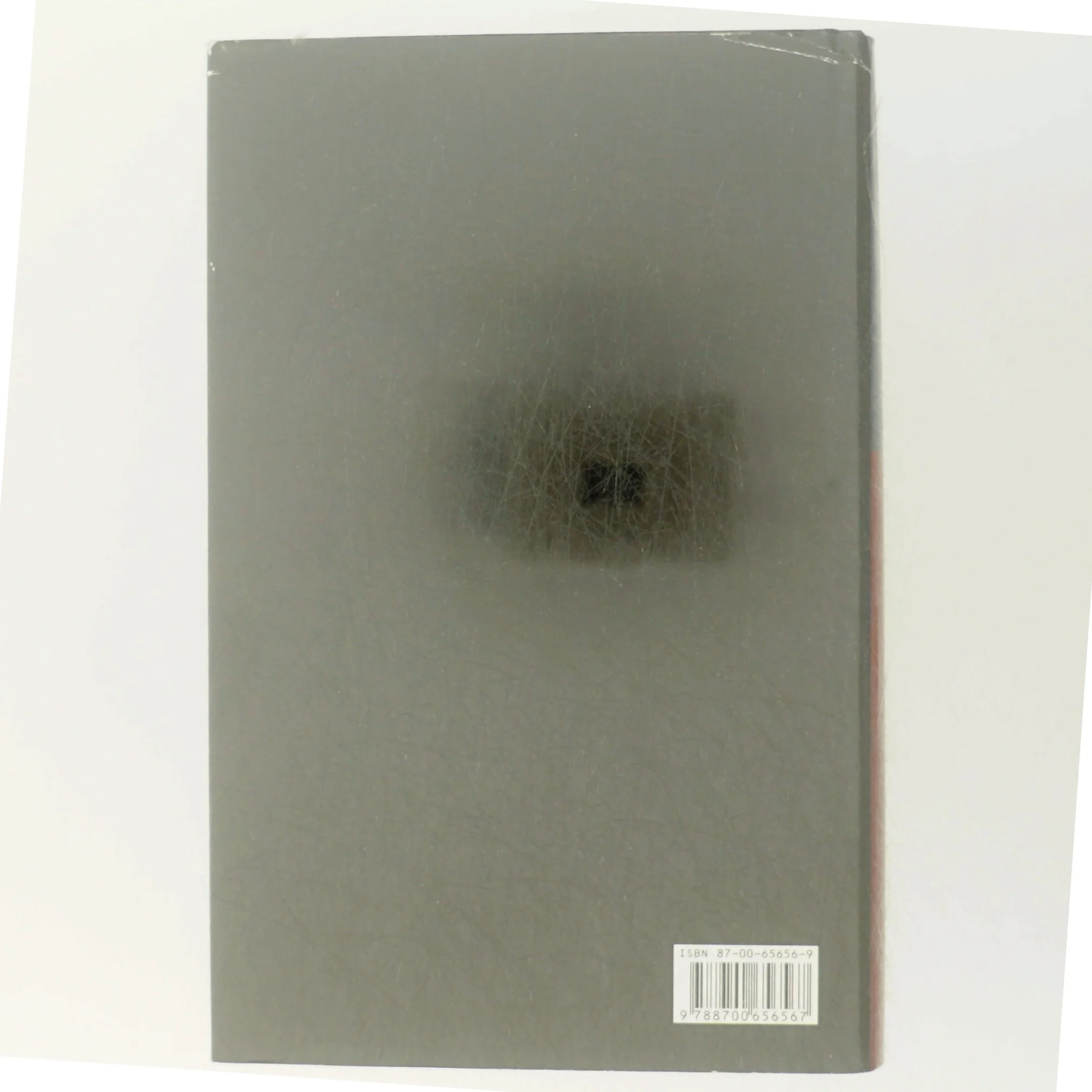 Inden frosten : kriminalroman af Henning Mankell (Bog)