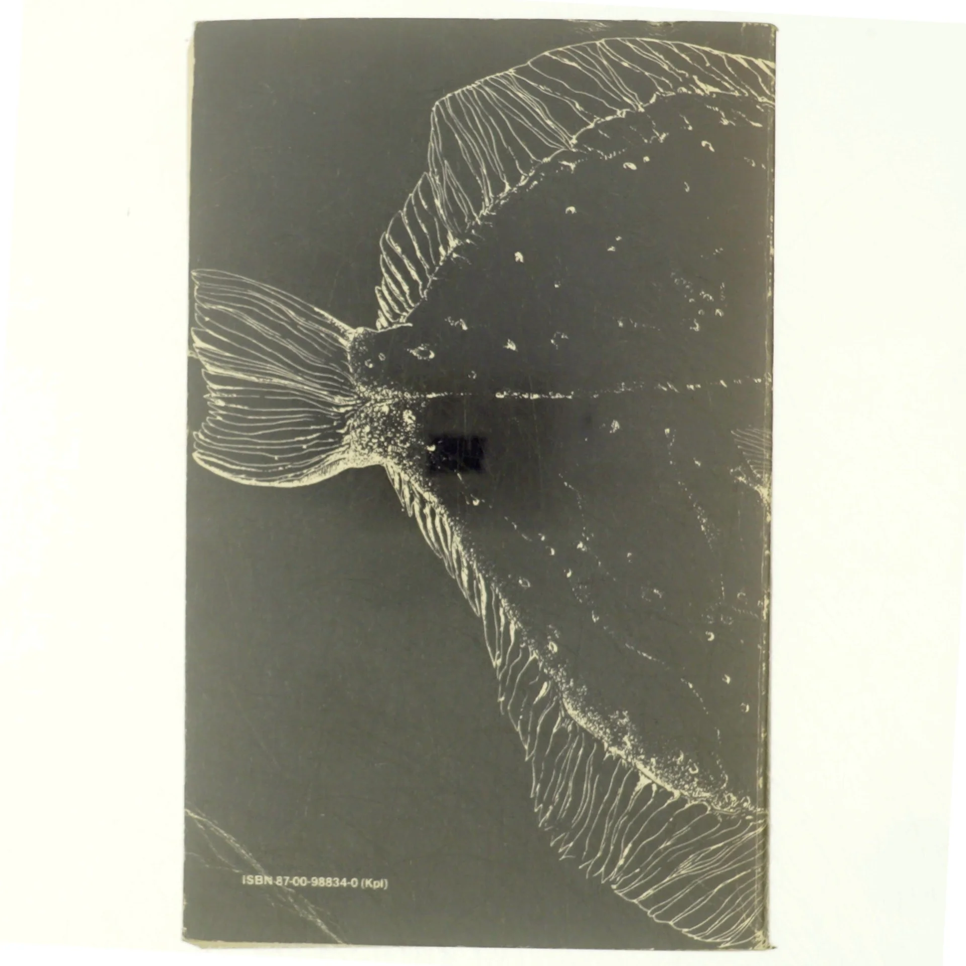 Flynderen 2 af Günter Grass