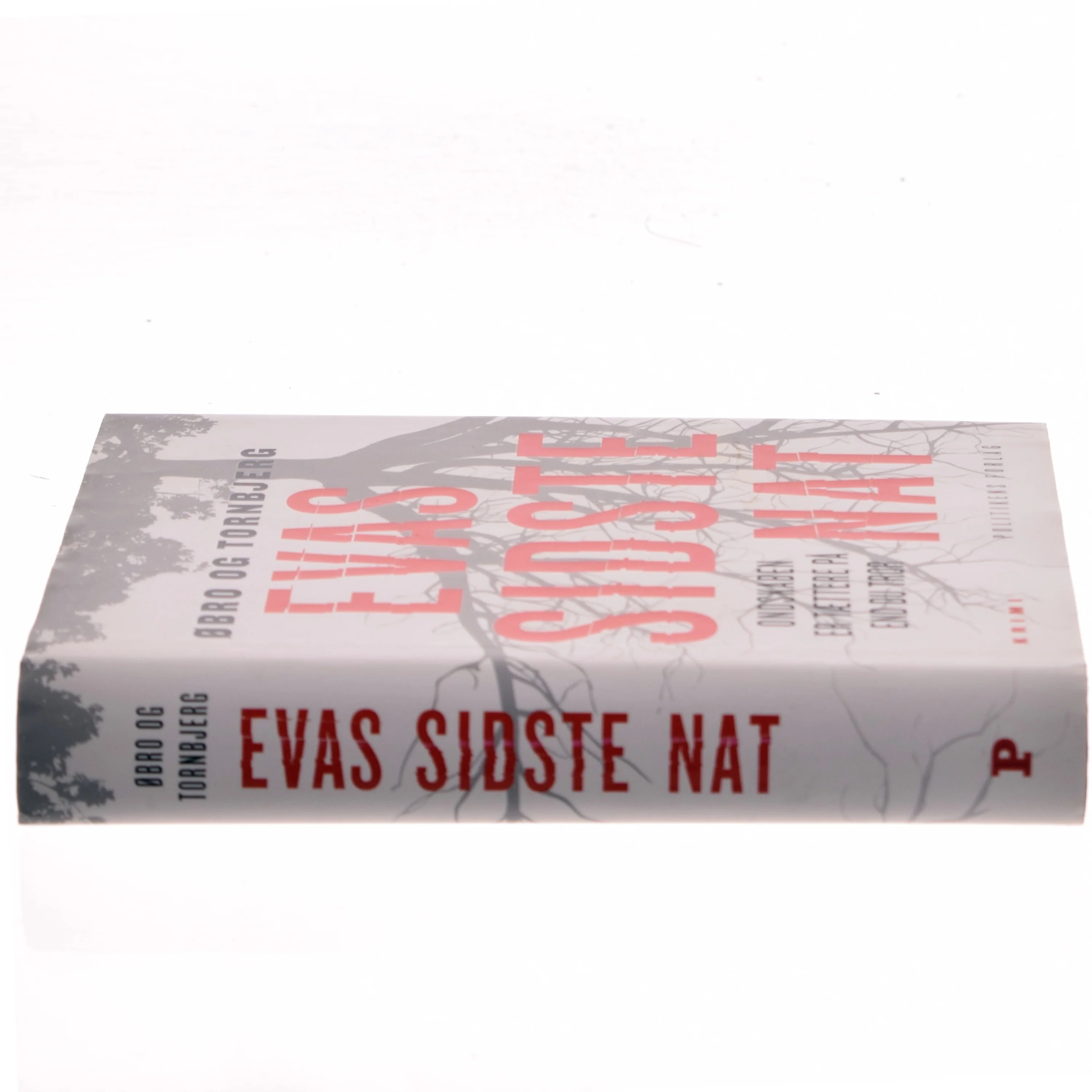 Evas sidste nat (Bog)