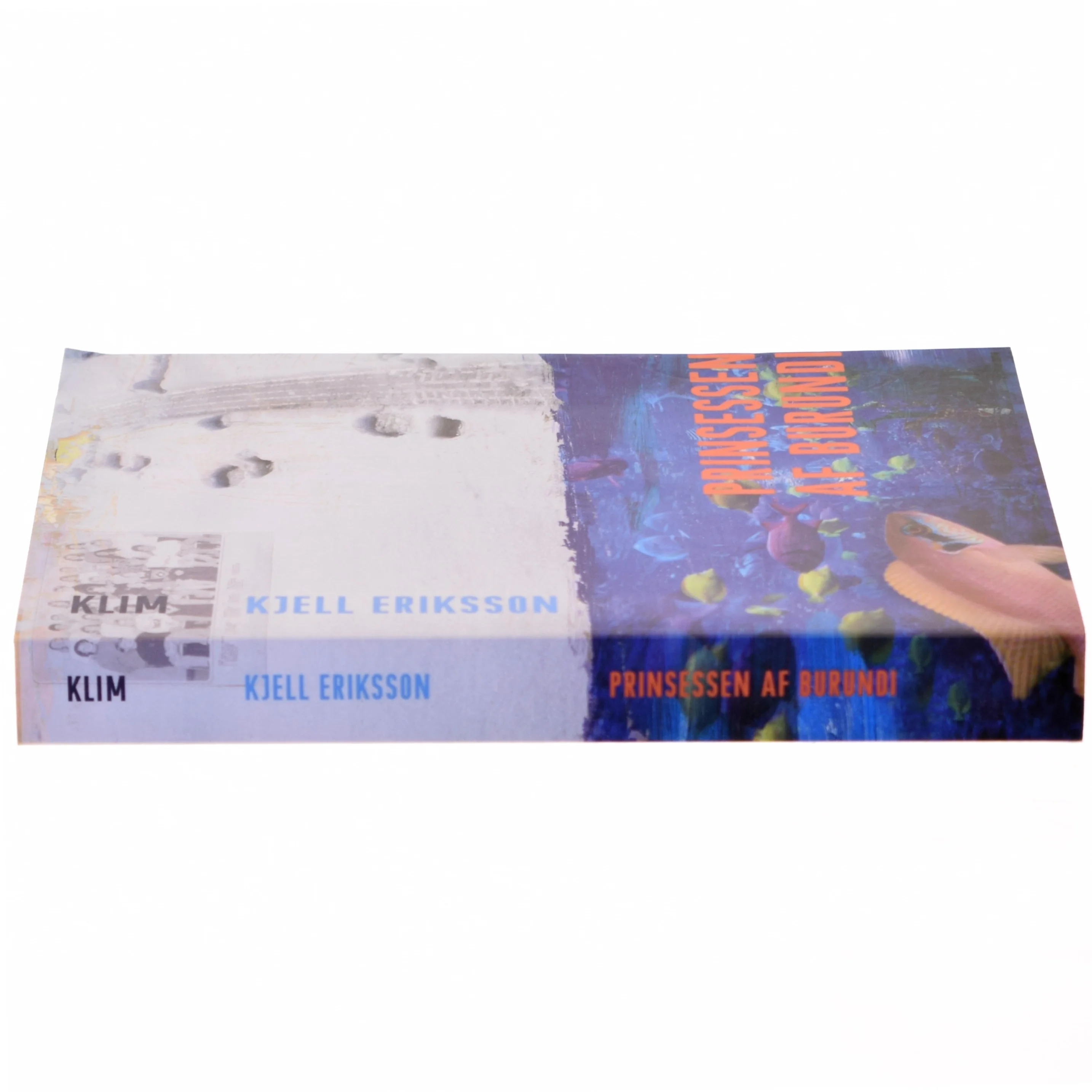 Prinsessen af Burundi : kriminalroman af Kjell Eriksson (Bog)