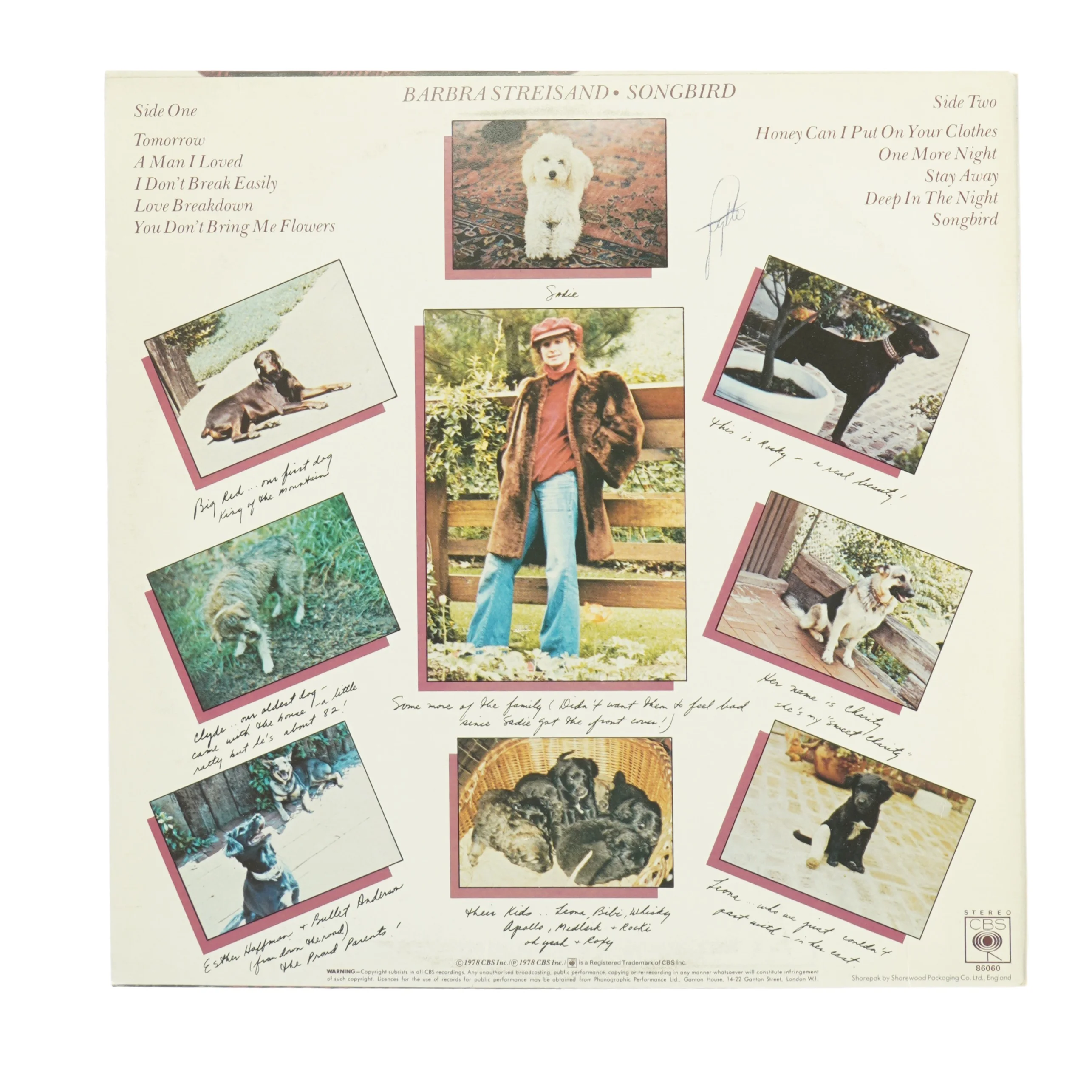 Barbra Streisand "Songbird" LP (str. 31 x 31 cm)