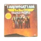 I am what i am the best of village people LP