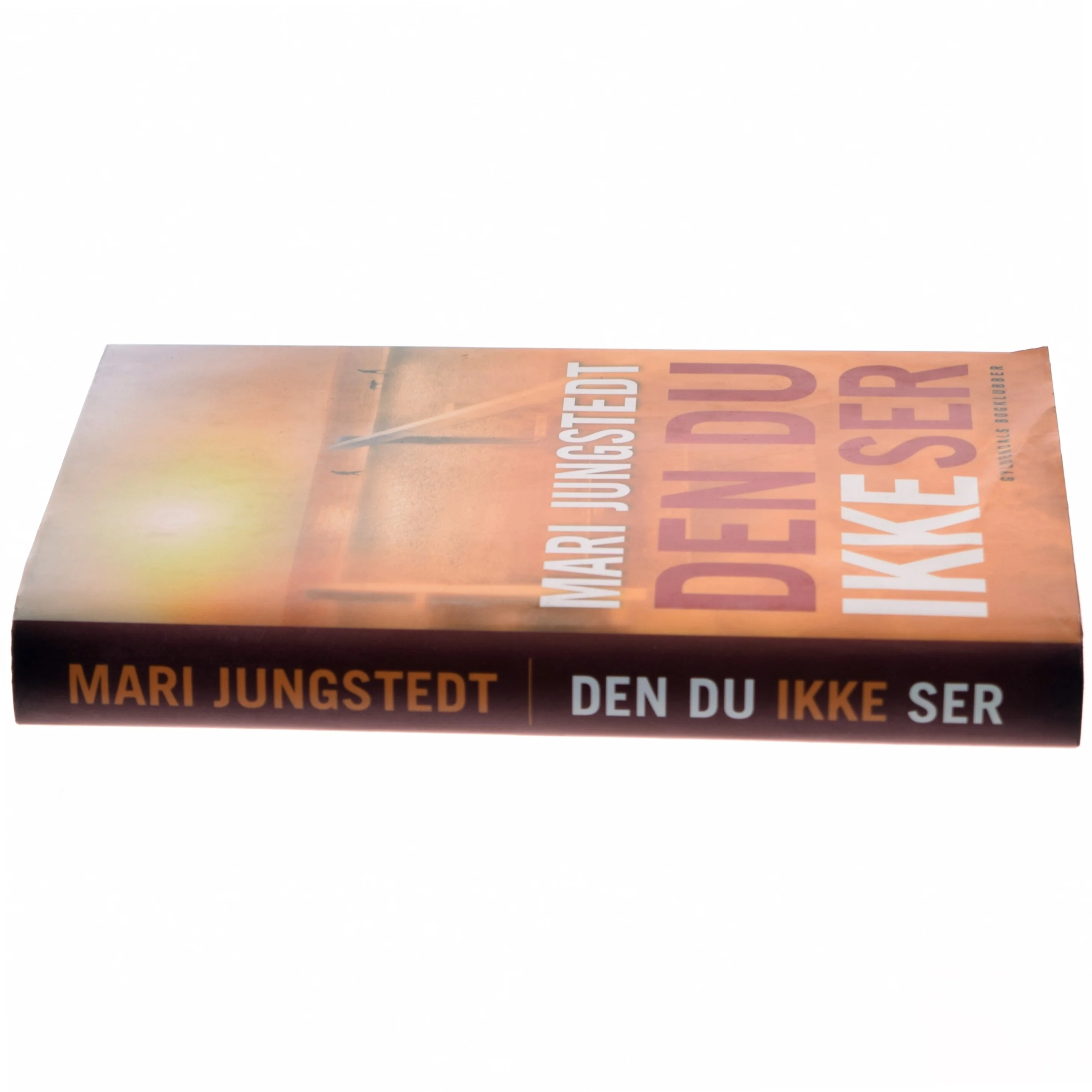 'Den du ikke ser' af Mari Jungstedt (bog)
