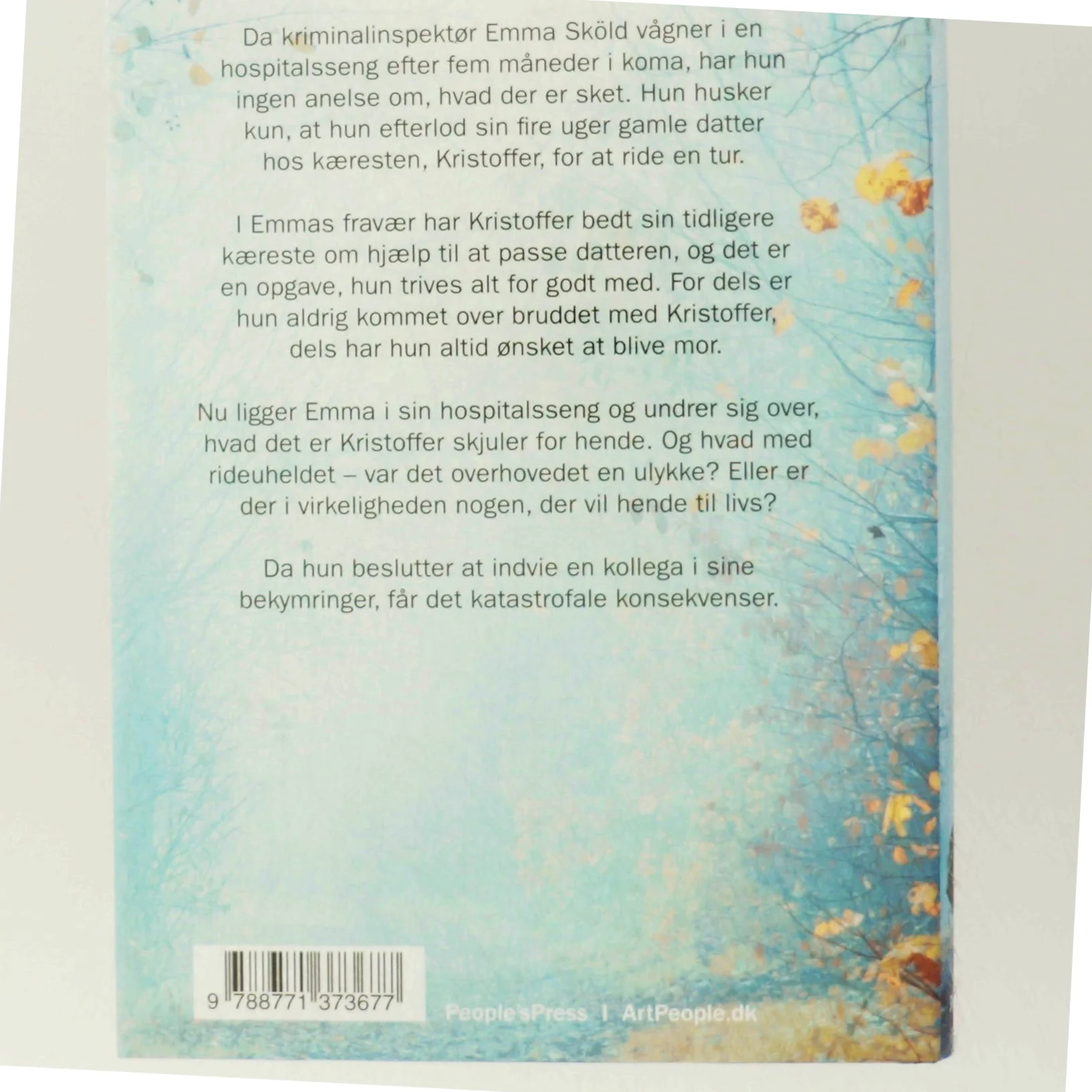 Babysitteren : krimi af Sofie Sarenbrant (Bog)