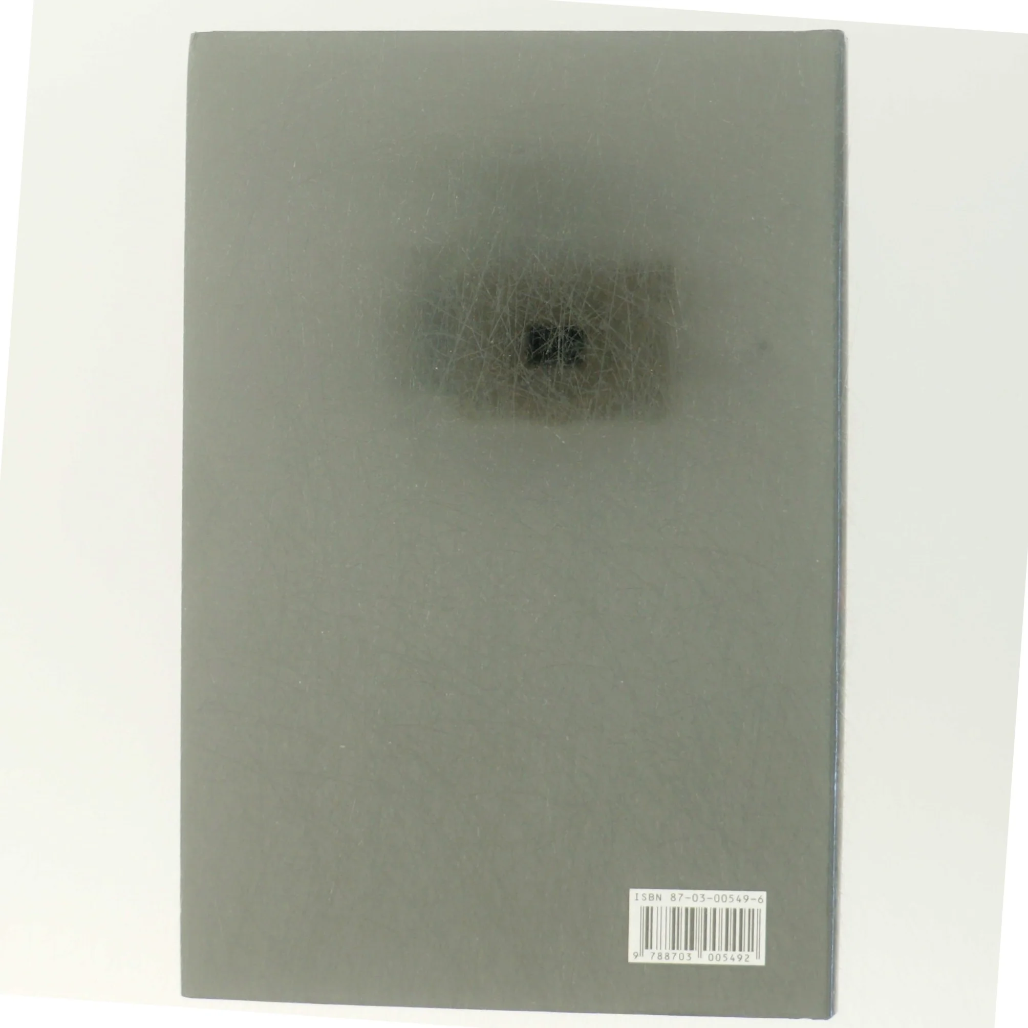 Manden i vinduet af Kjell Ola Dahl (Bog)