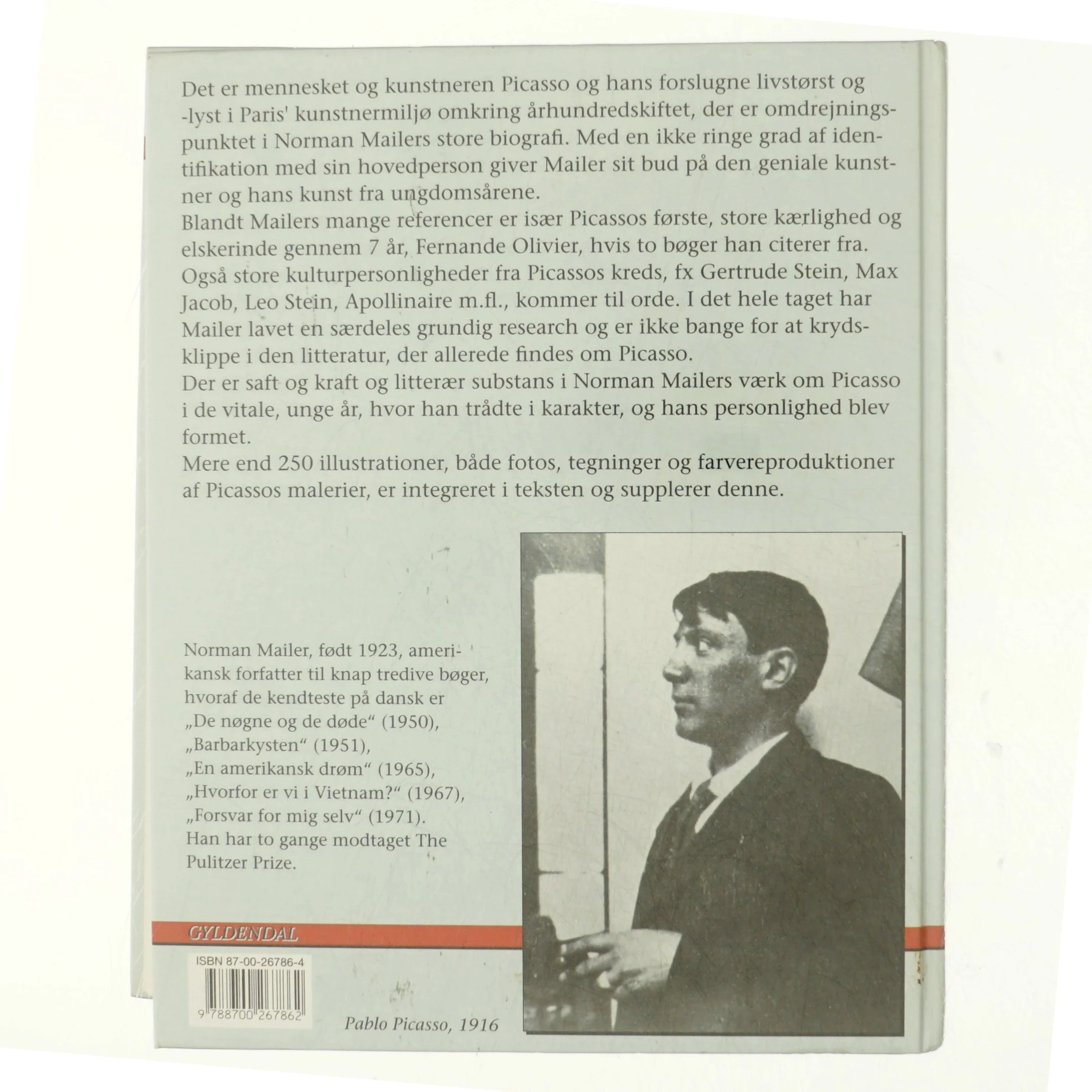 Portræt af den unge Picasso : en biografi af Norman Mailer (Bog)