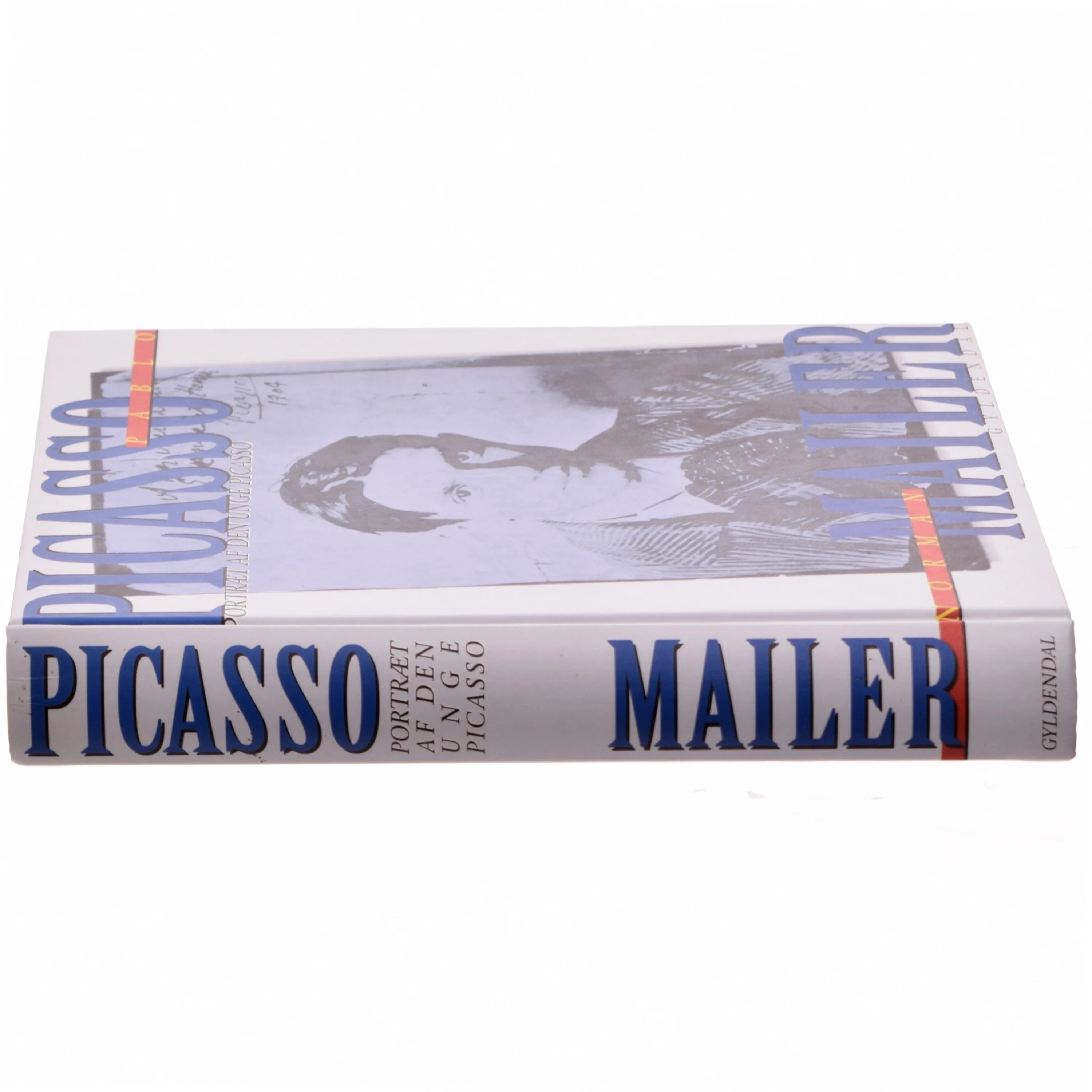 Portræt af den unge Picasso : en biografi af Norman Mailer (Bog)