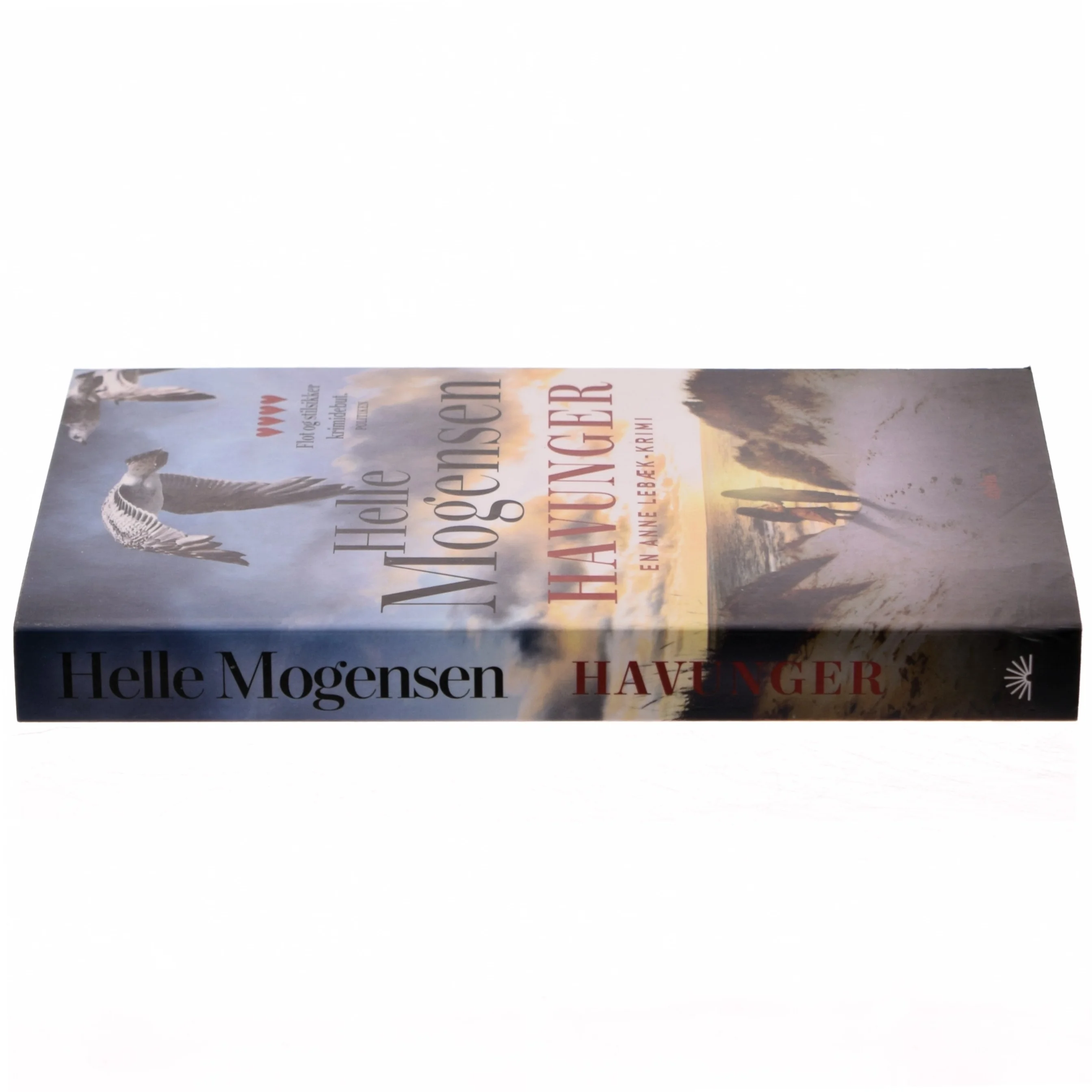 'Havunger: kriminalroman' af Helle Mogensen (f. 1969) (bog)