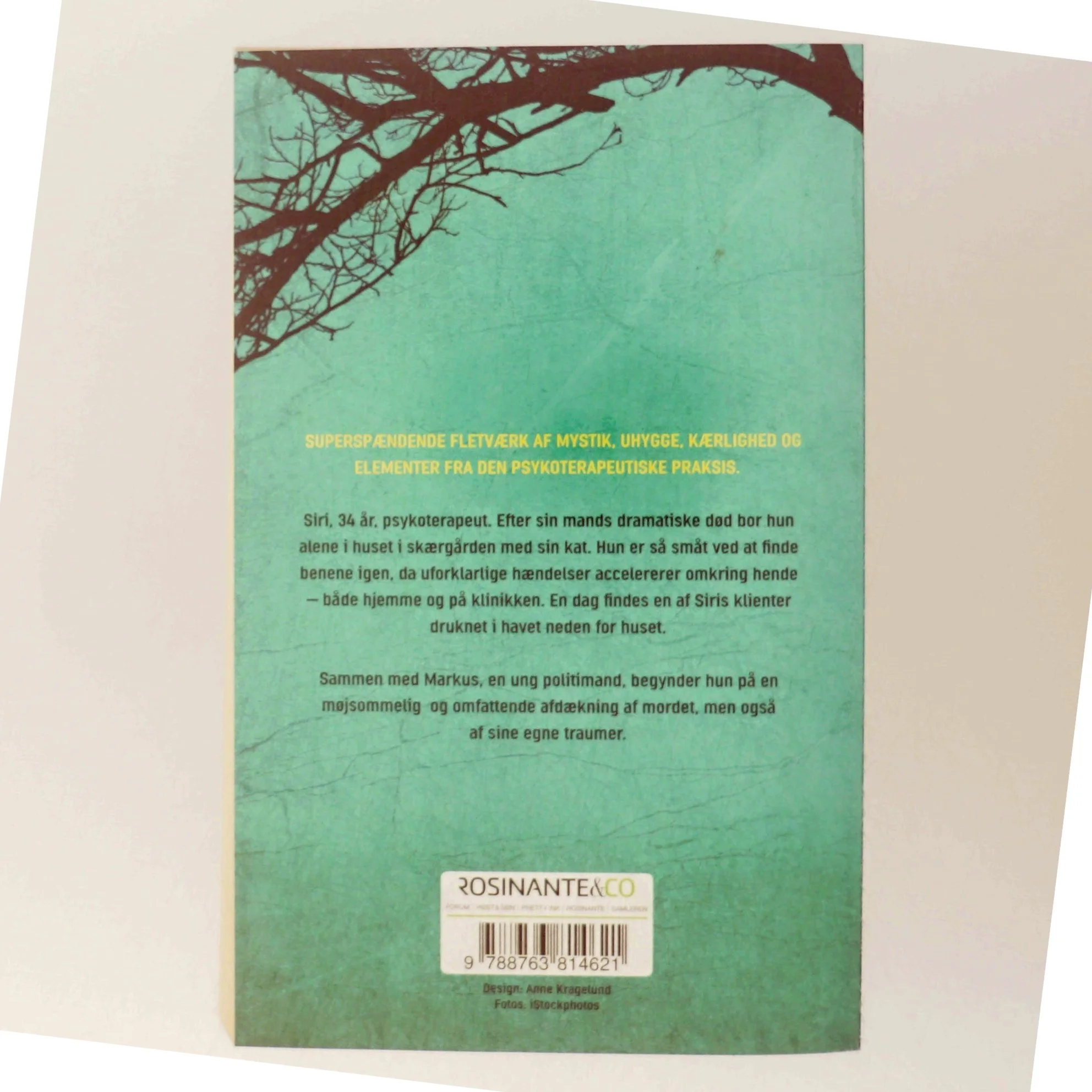 Jeg ser dig af Camilla Grebe (Bog)