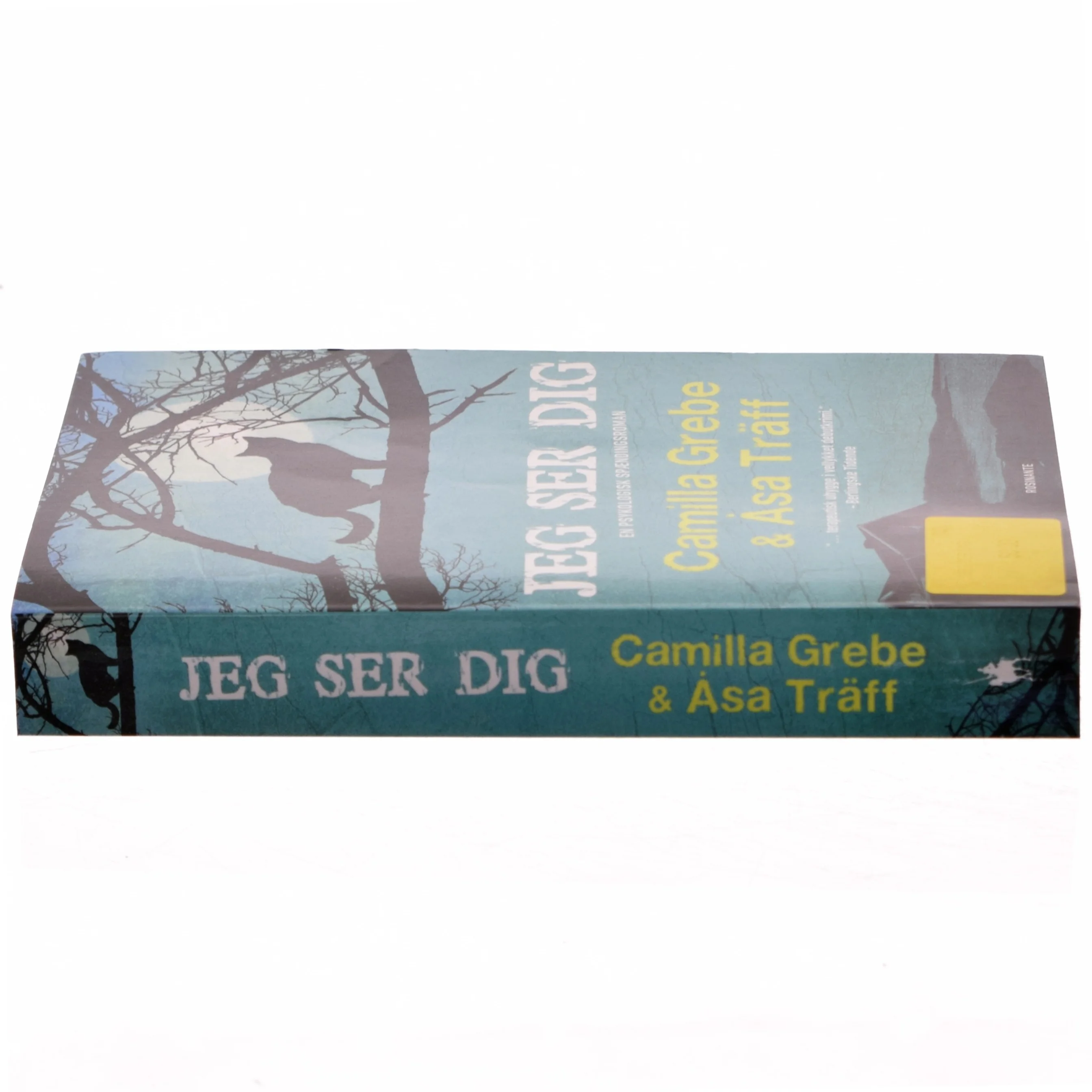 Jeg ser dig af Camilla Grebe (Bog)