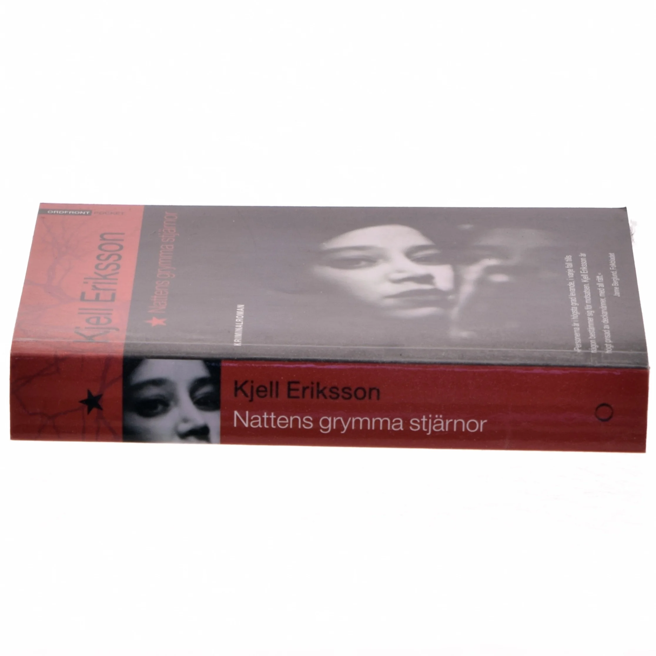 Nattens grymma stjärnor af Kjell Eriksson (Bog)