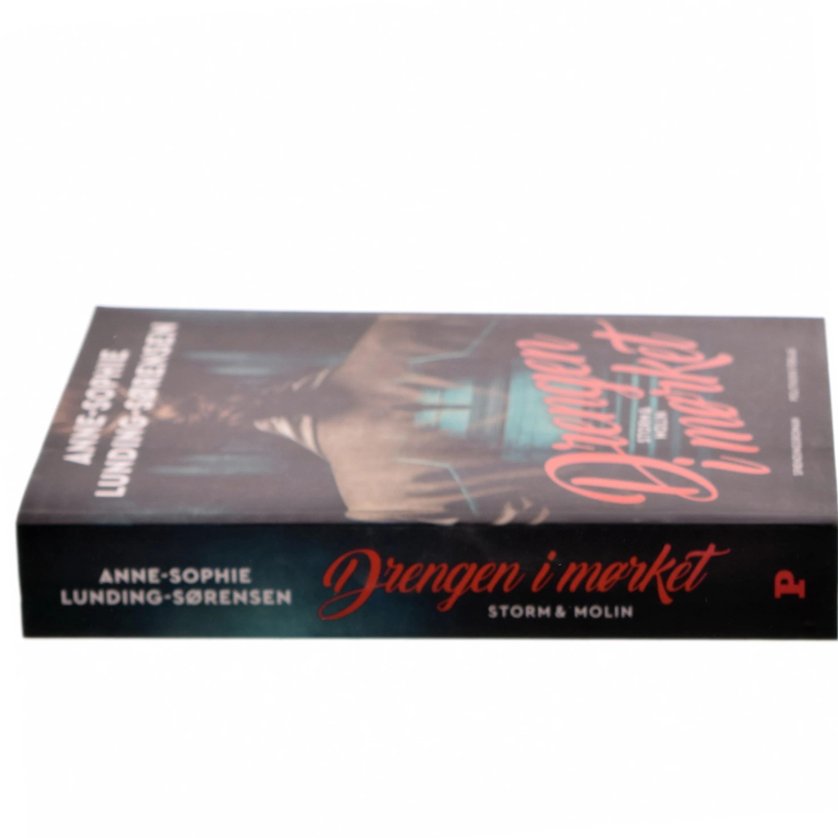 Drengen i mørket : spændingsroman af Anne-Sophie Lunding-Sørensen (Bog)